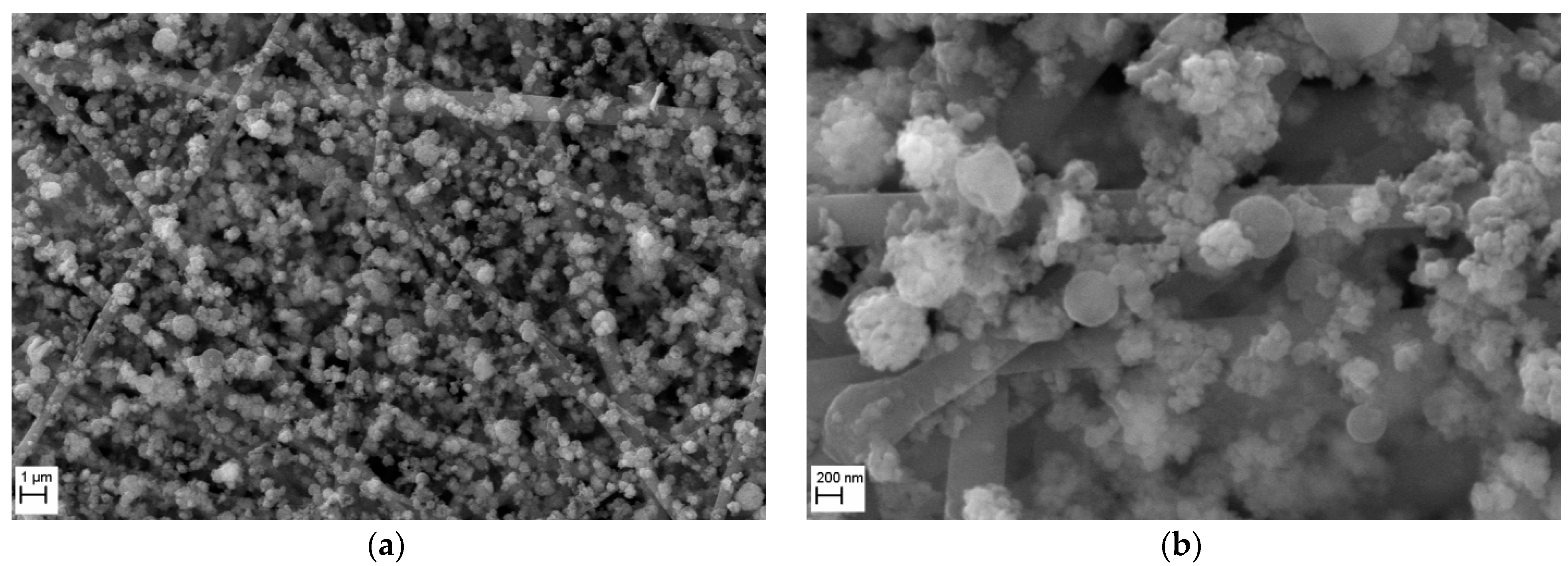 Membranes 15 00291 g008