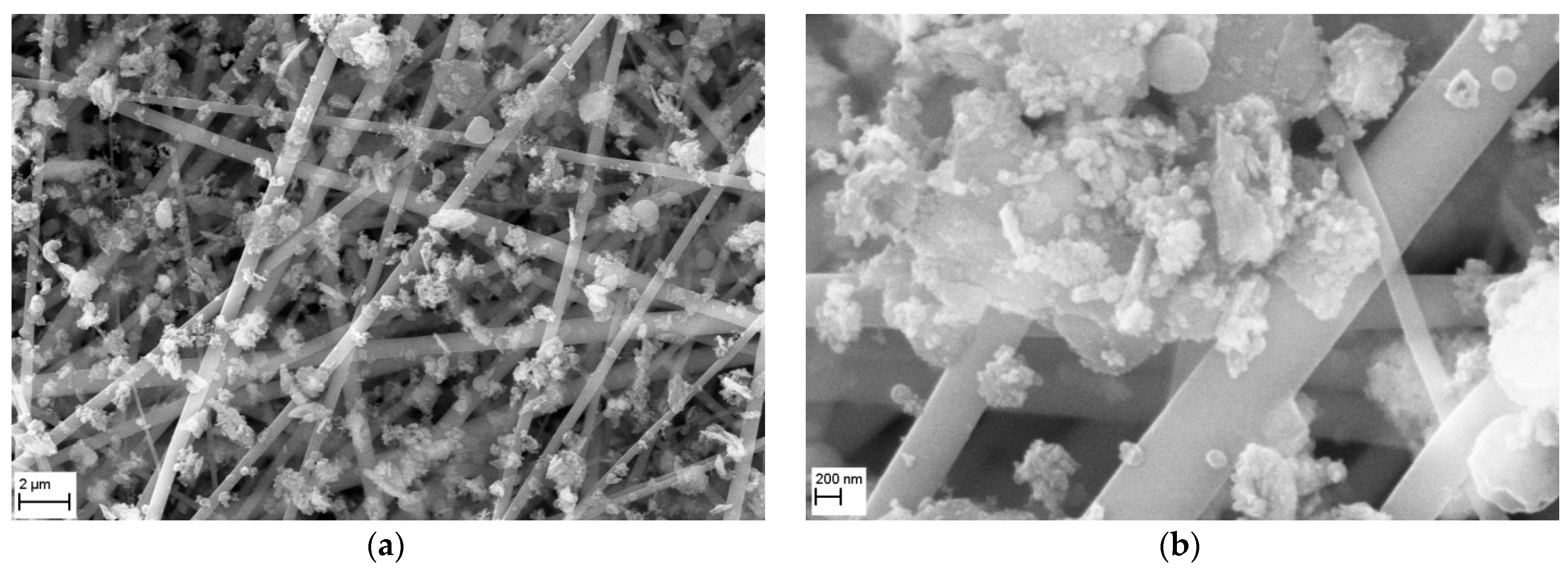 Membranes 15 00291 g012