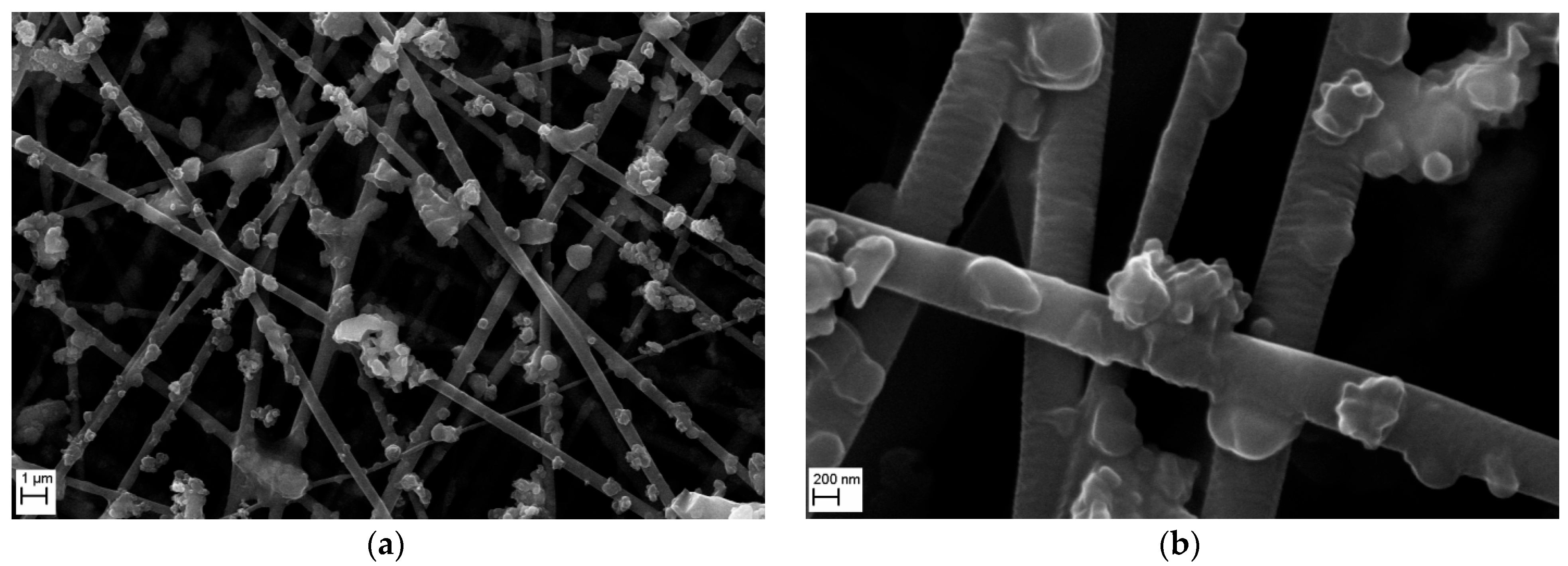 Membranes 15 00291 g016