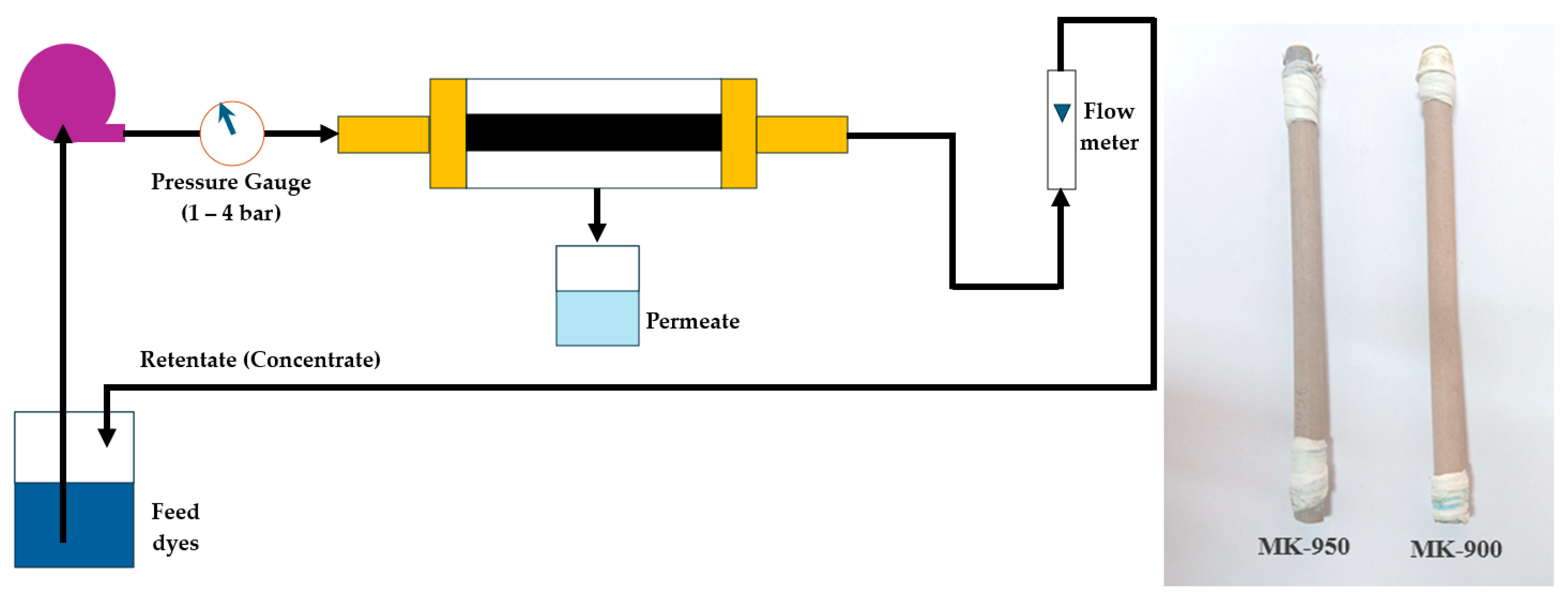 Membranes 15 00292 g001