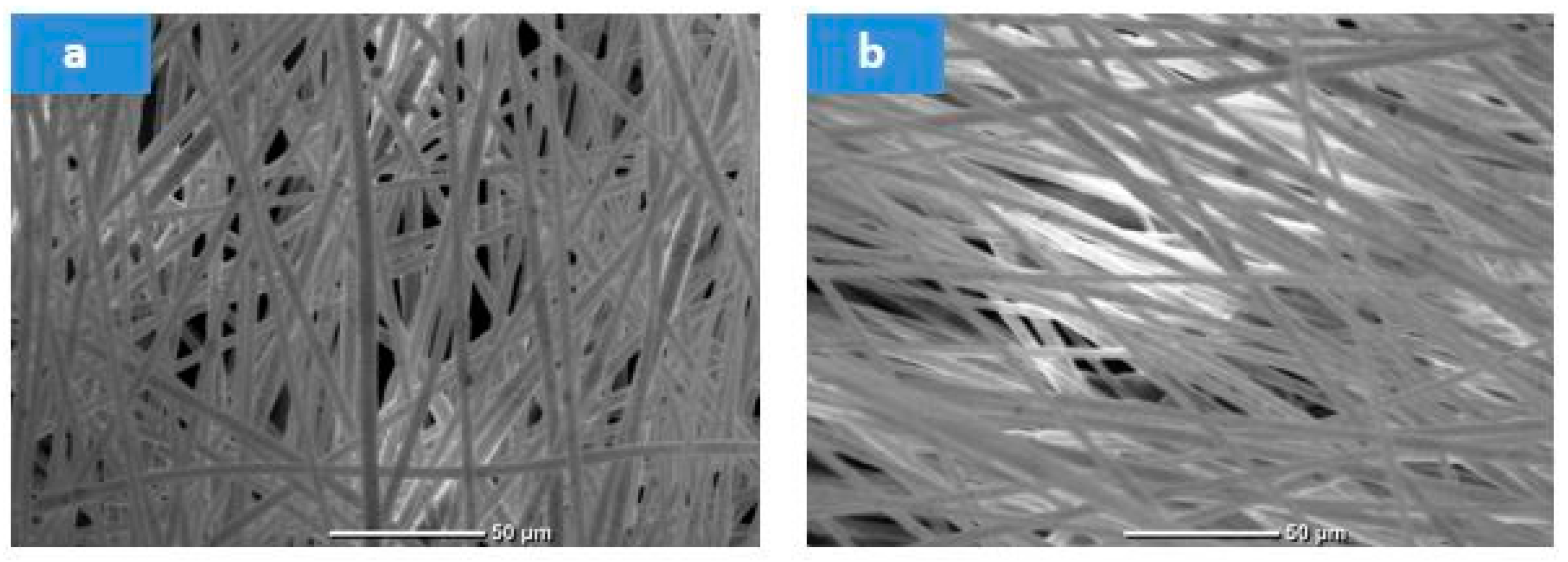 Membranes 15 00294 g007 Membranes 15 00294 g007