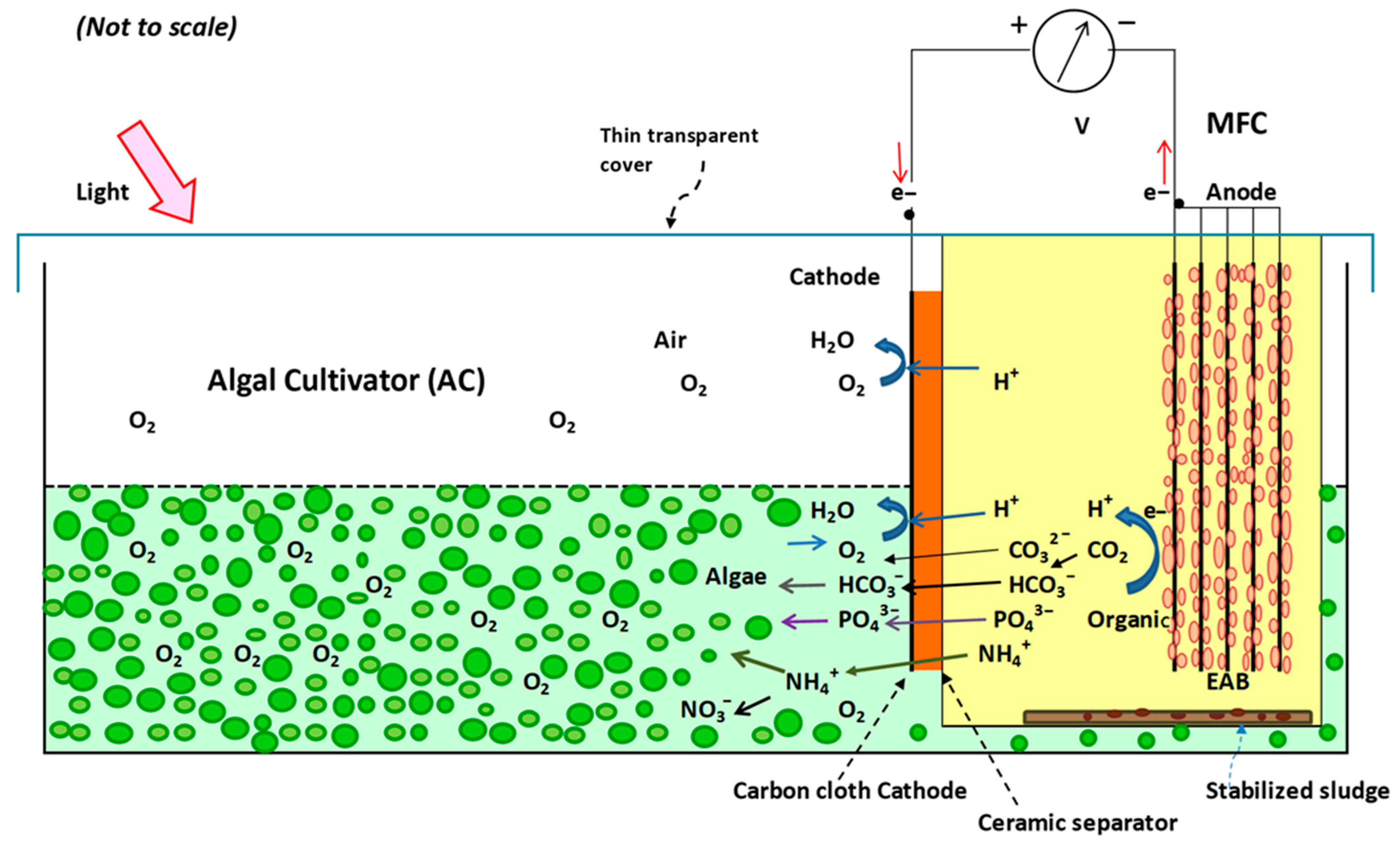 Membranes 15 00295 g001 Membranes 15 00295 g001