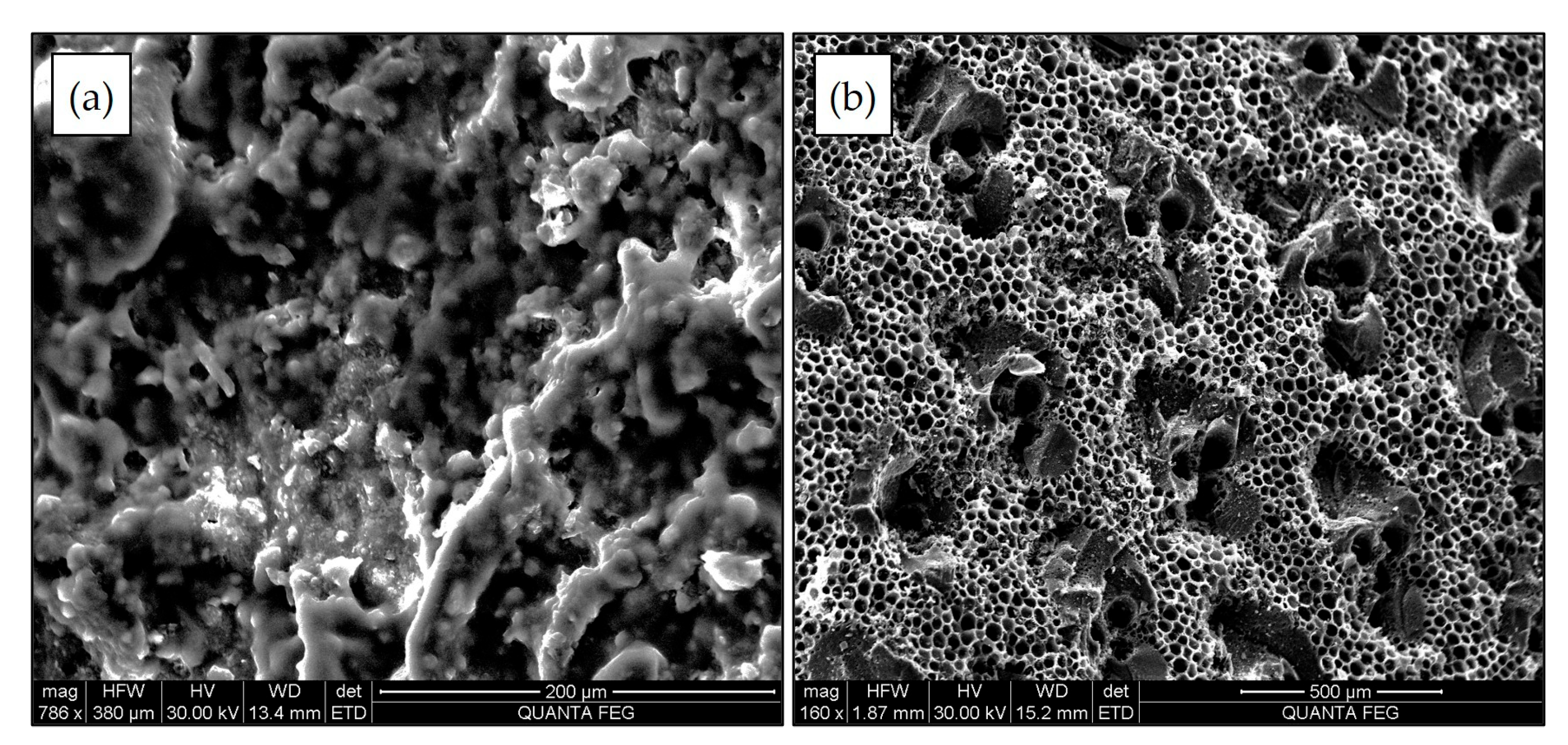 Membranes 15 00295 g002 Membranes 15 00295 g002