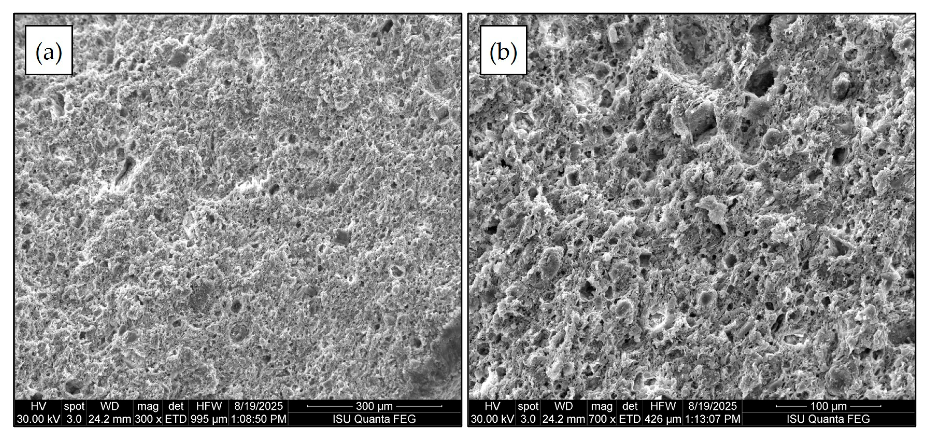 Membranes 15 00295 g003 Membranes 15 00295 g003