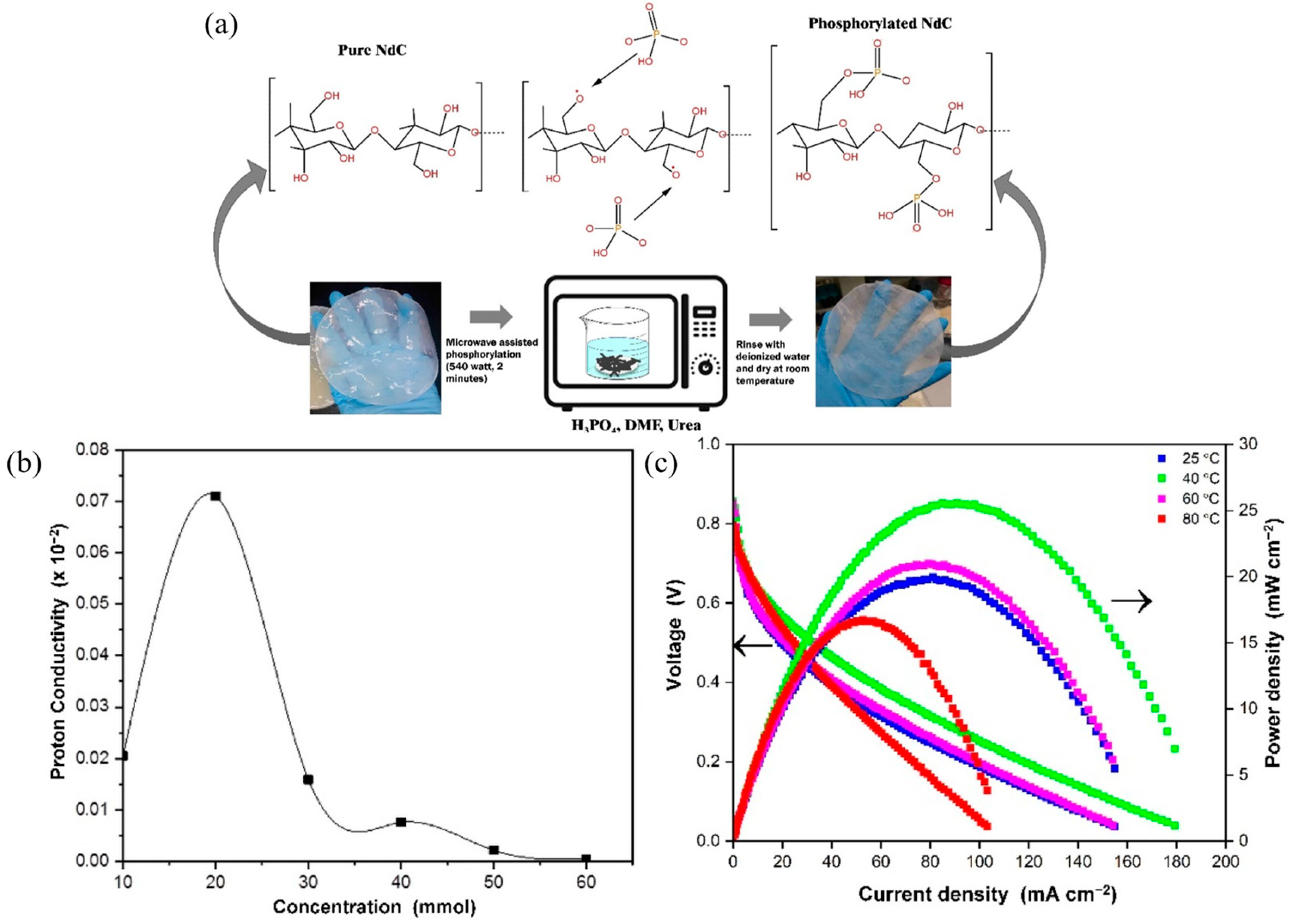 Membranes 15 00304 g004 Membranes 15 00304 g004