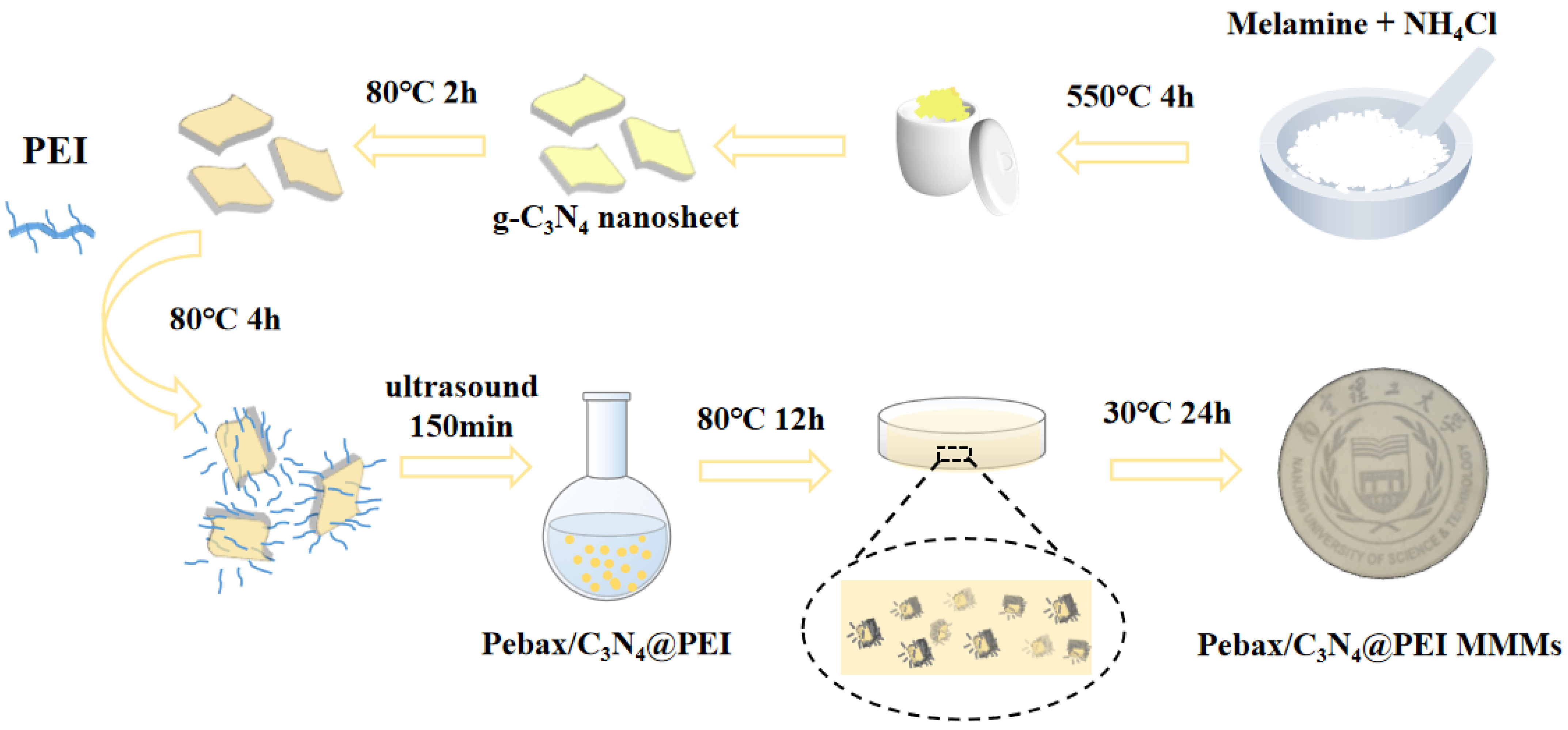 Membranes 15 00306 g001