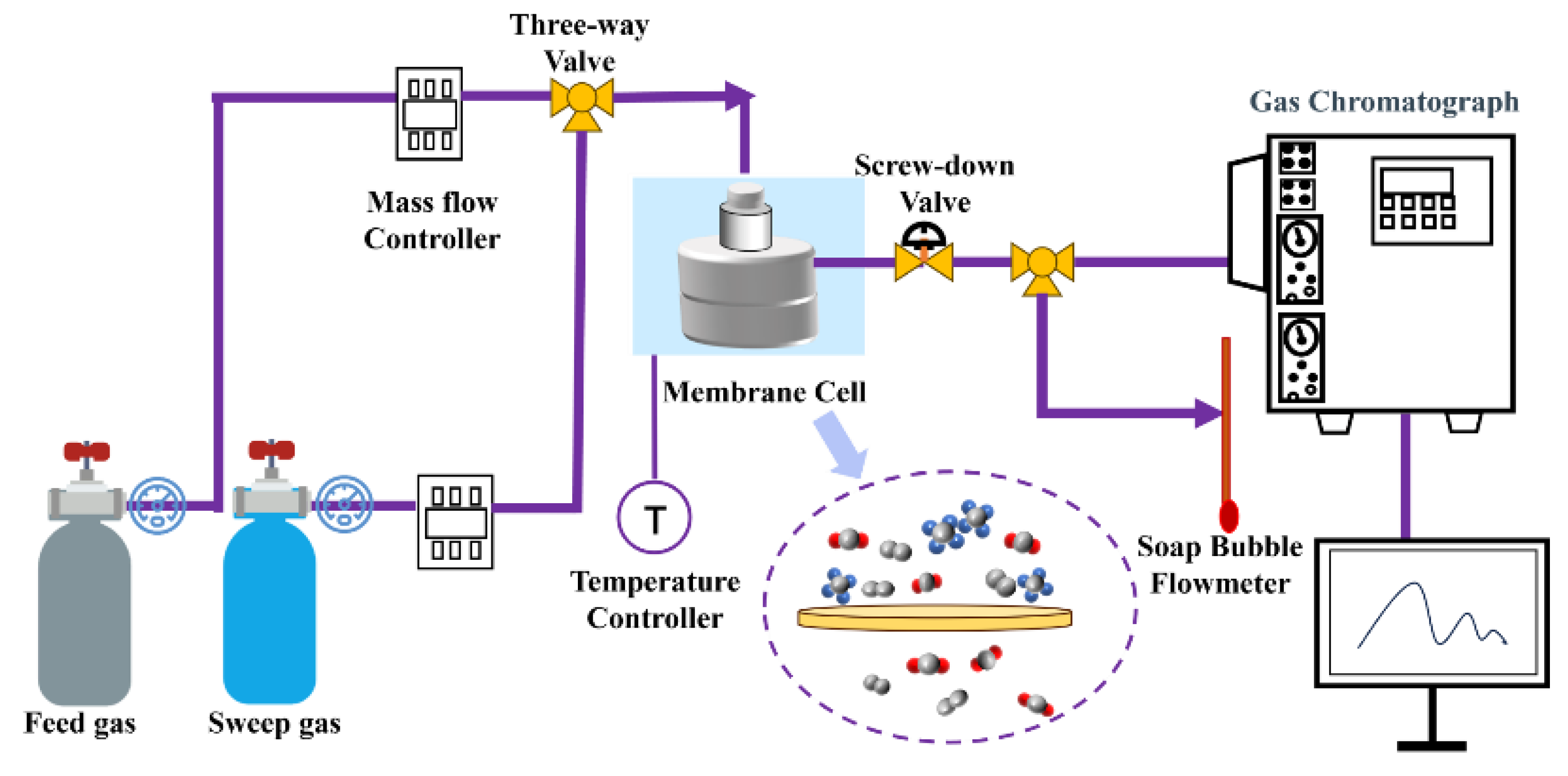 Membranes 15 00306 g002