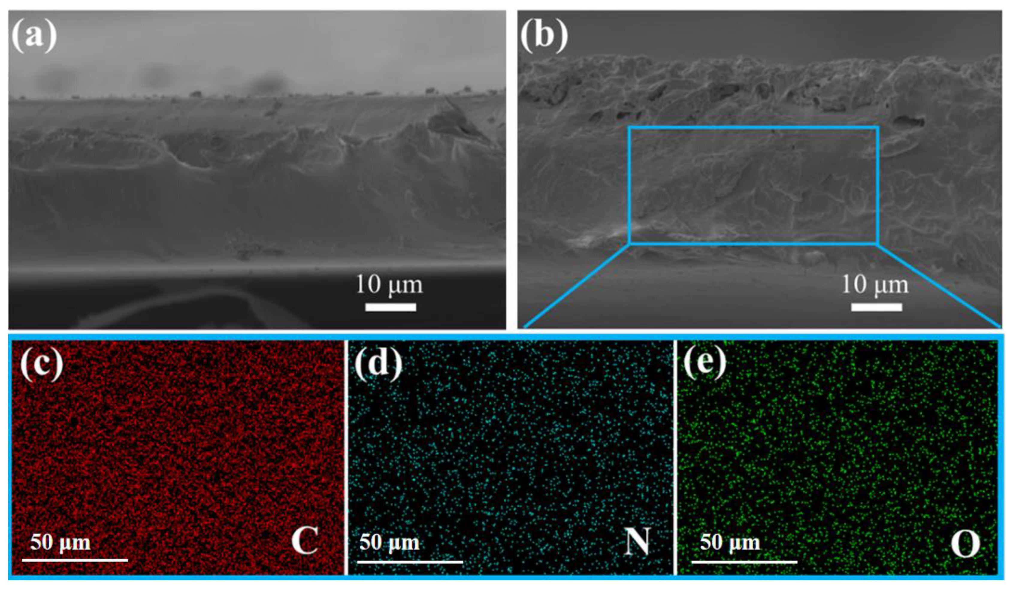 Membranes 15 00306 g008