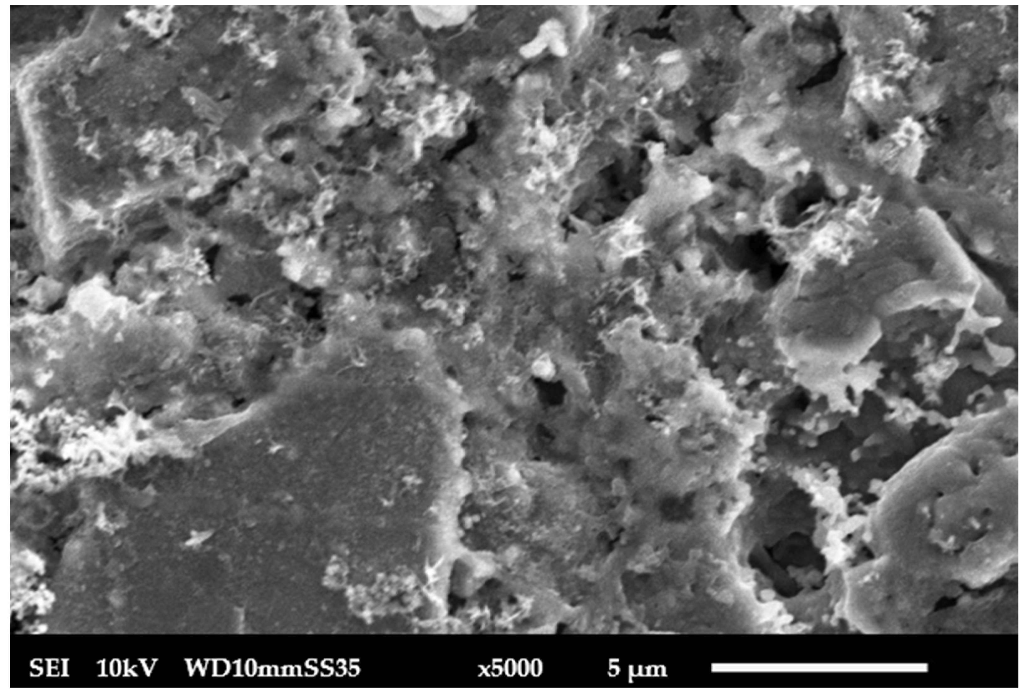 Membranes 15 00307 g007