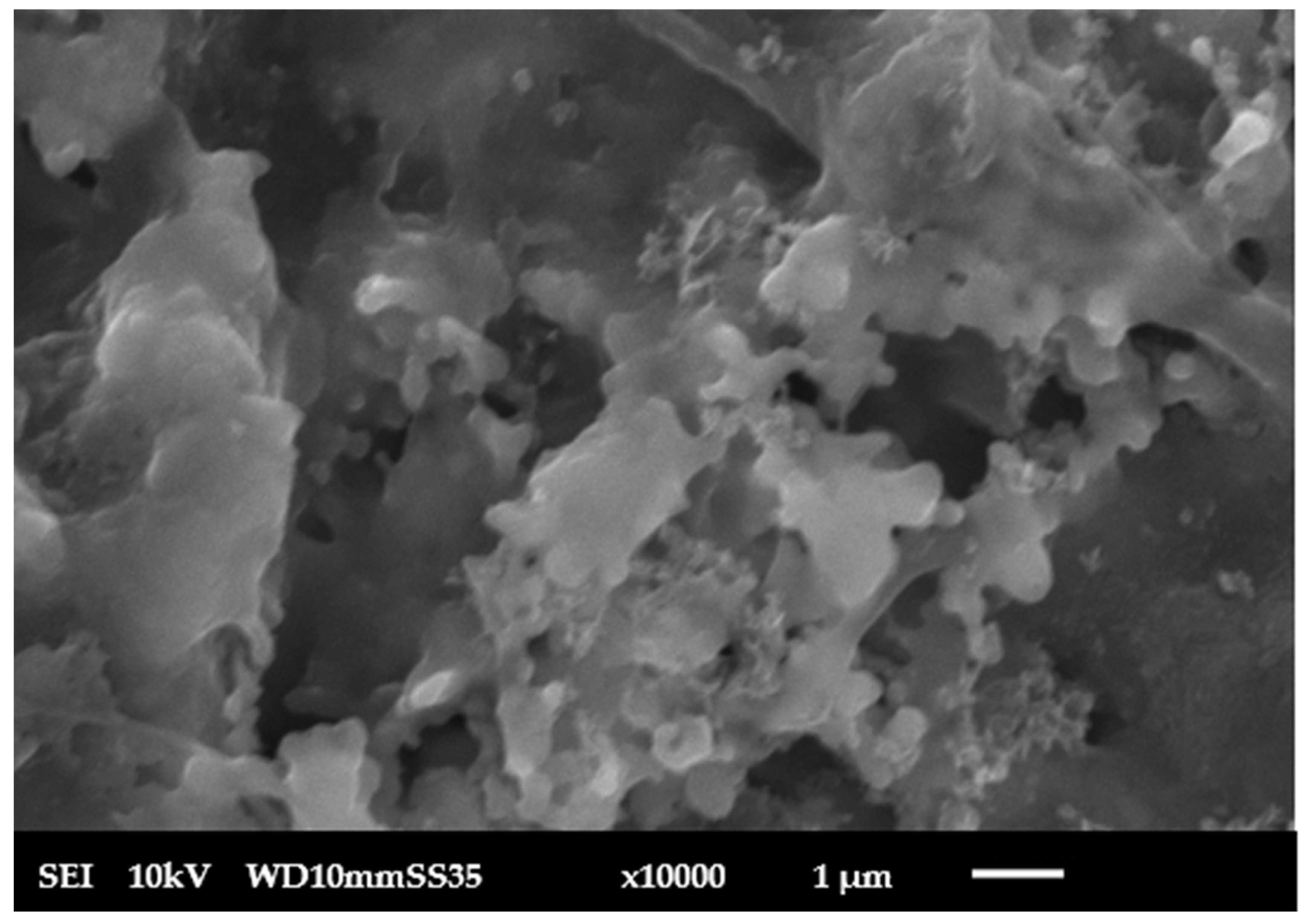 Membranes 15 00307 g008