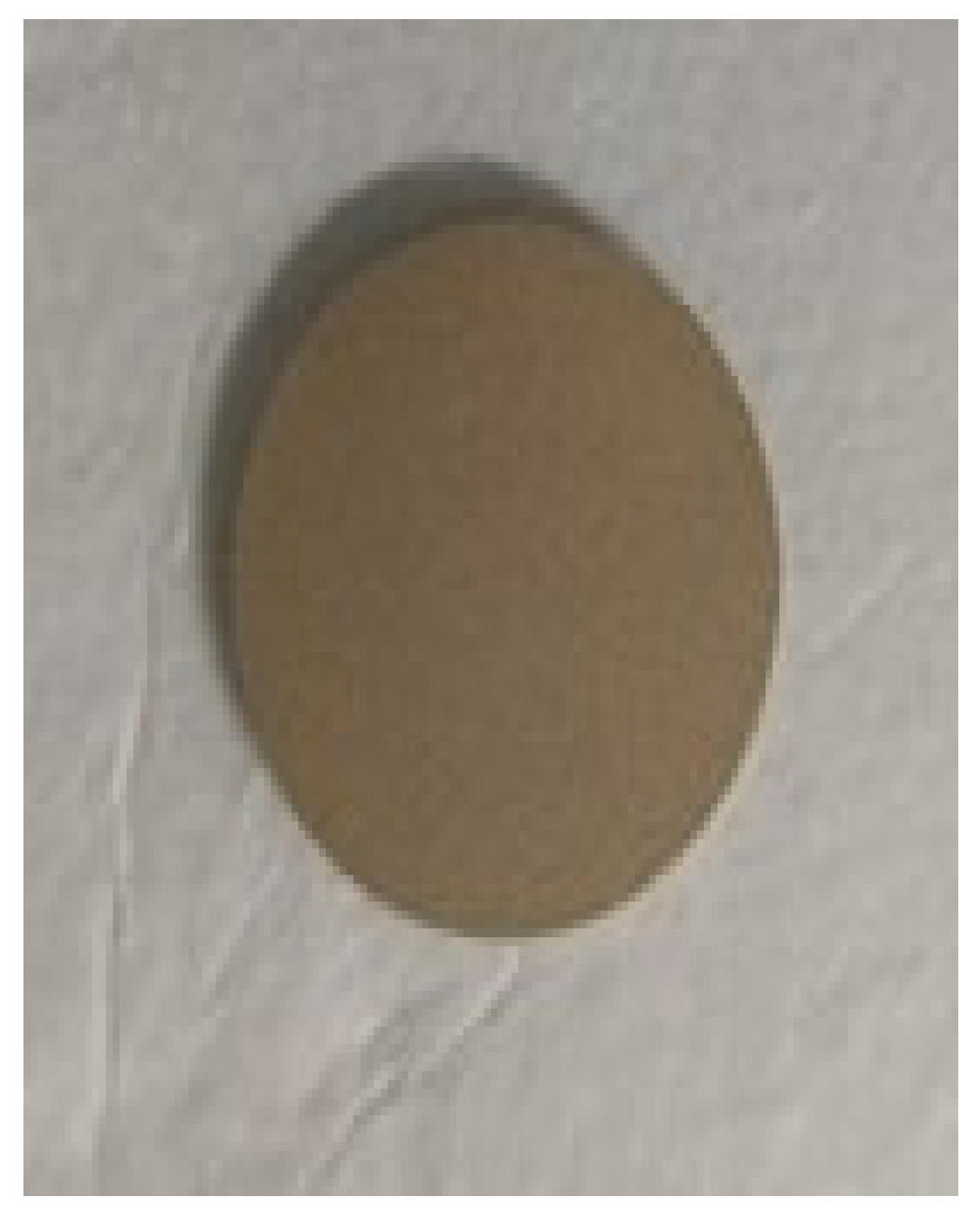 Membranes 15 00307 g010