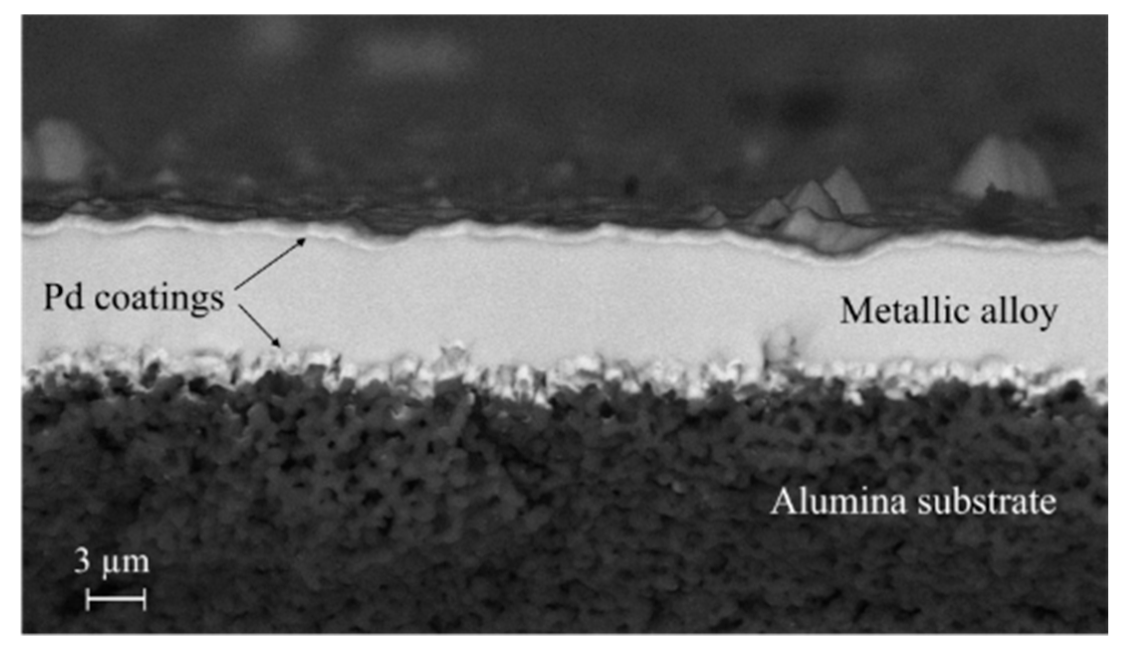 Membranes 15 00310 g001