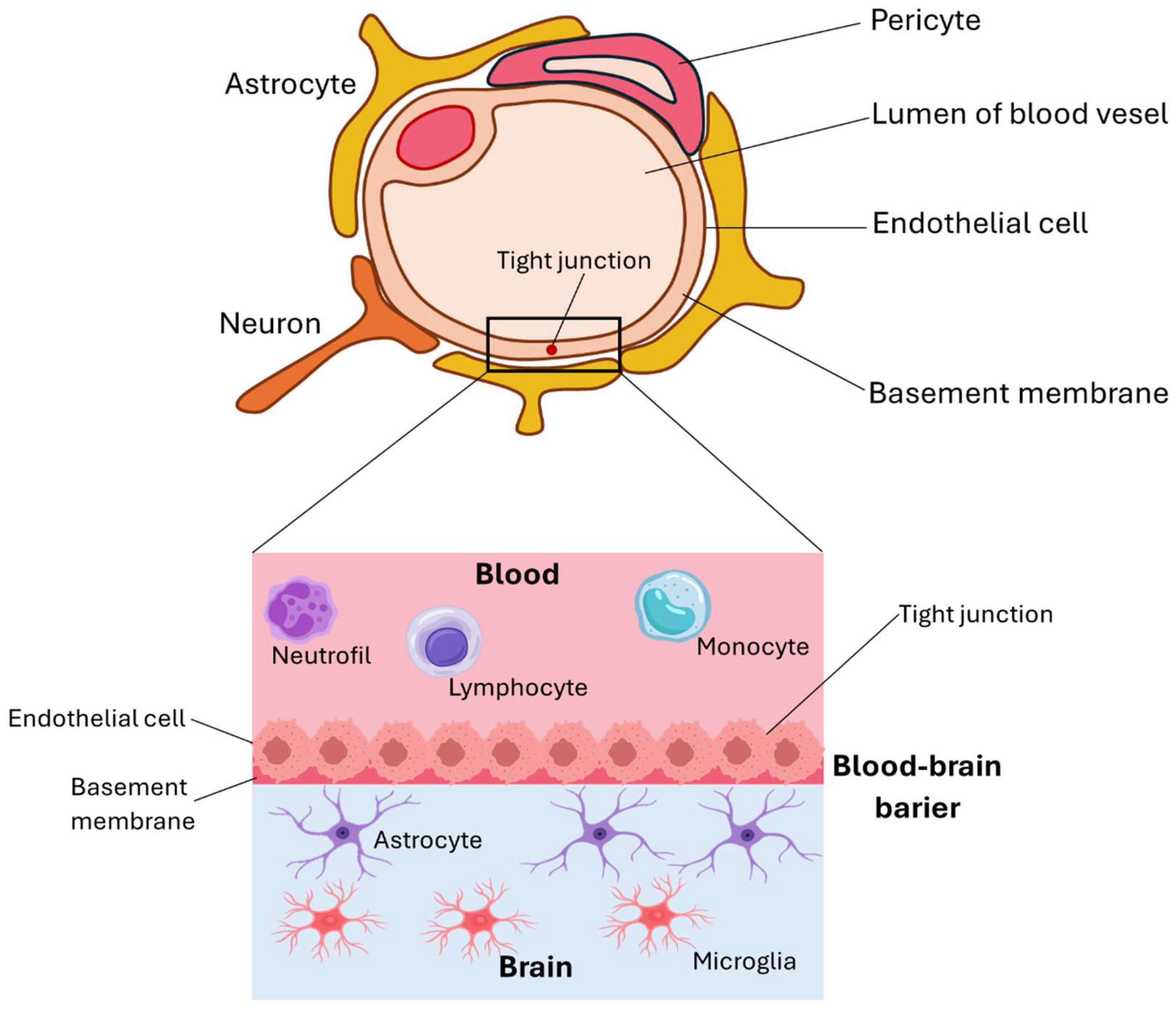 Membranes 15 00313 g002 Membranes 15 00313 g002