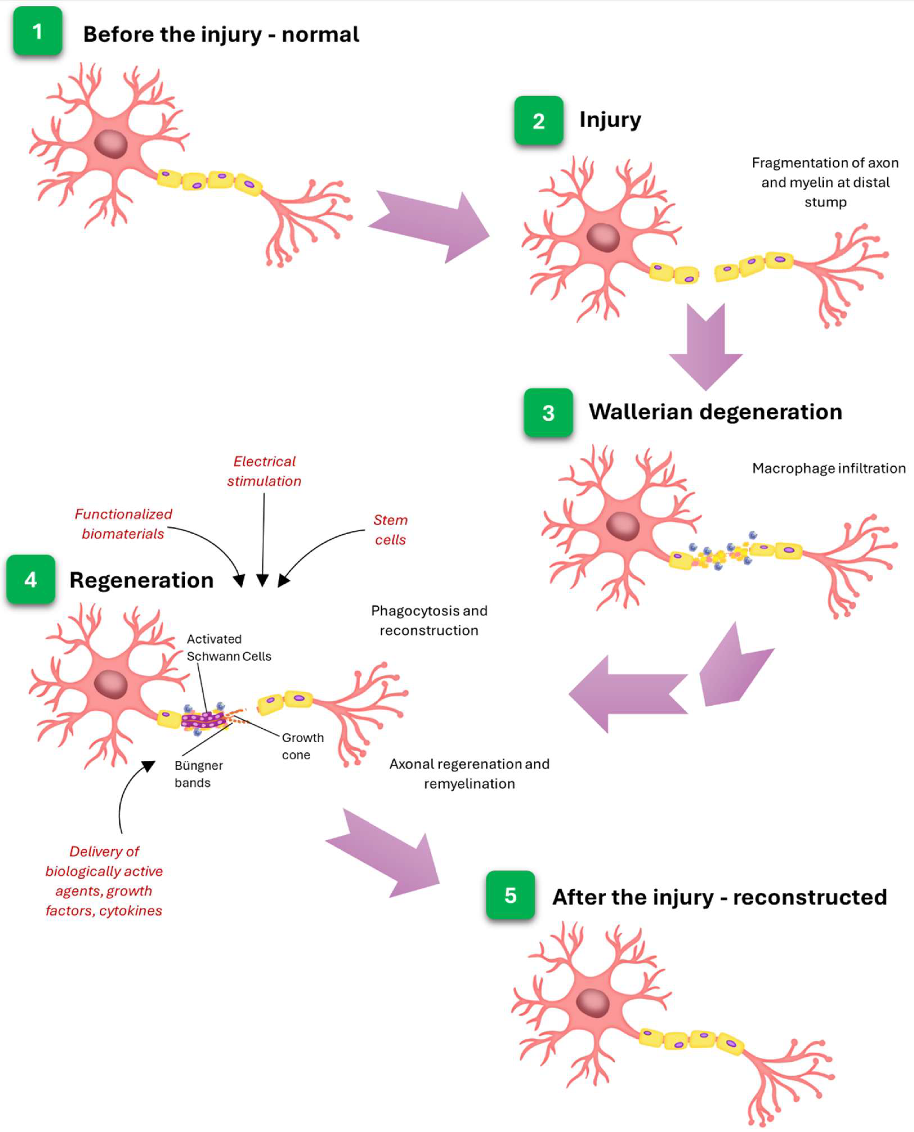 Membranes 15 00313 g006 Membranes 15 00313 g006