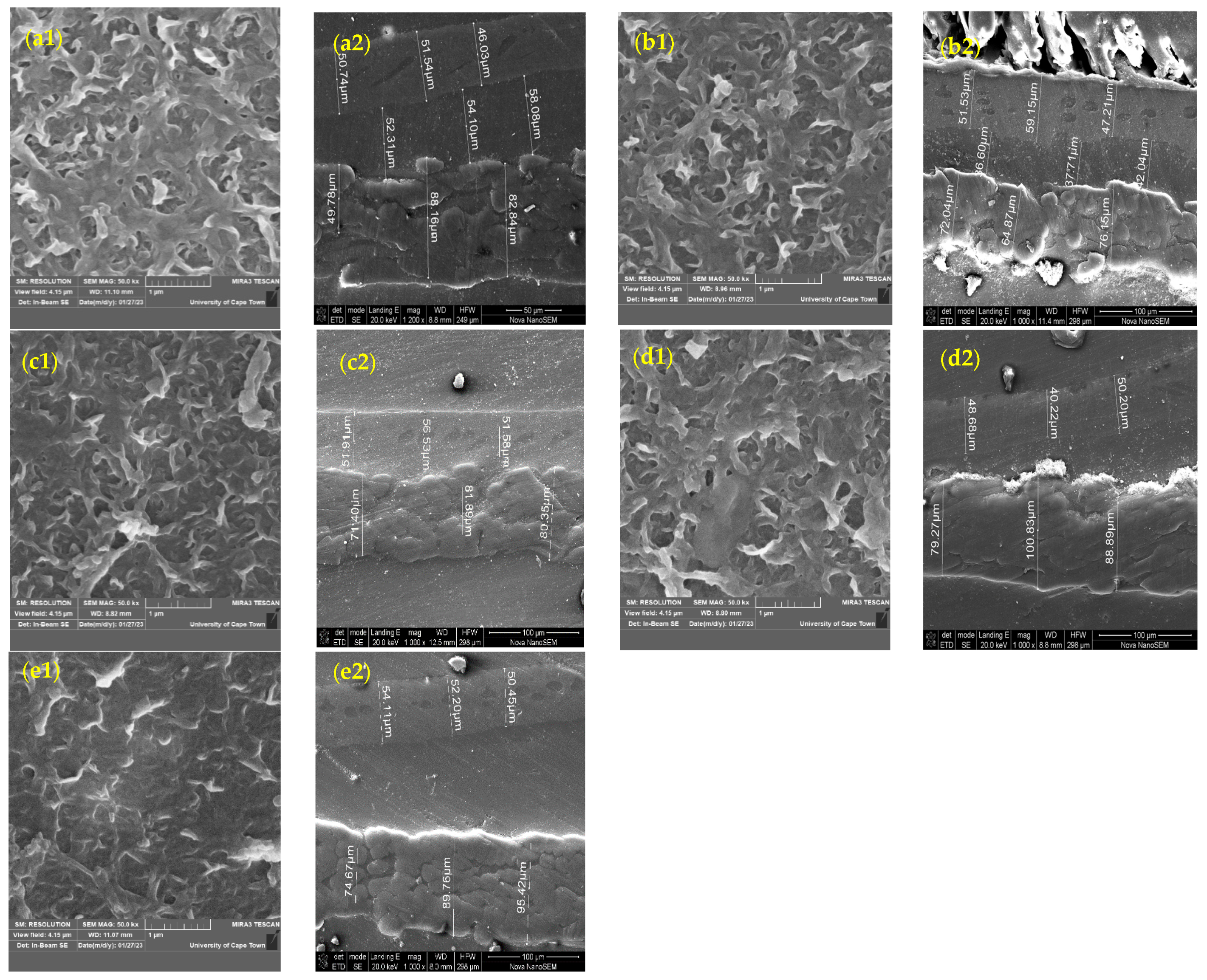 Membranes 15 00314 g007
