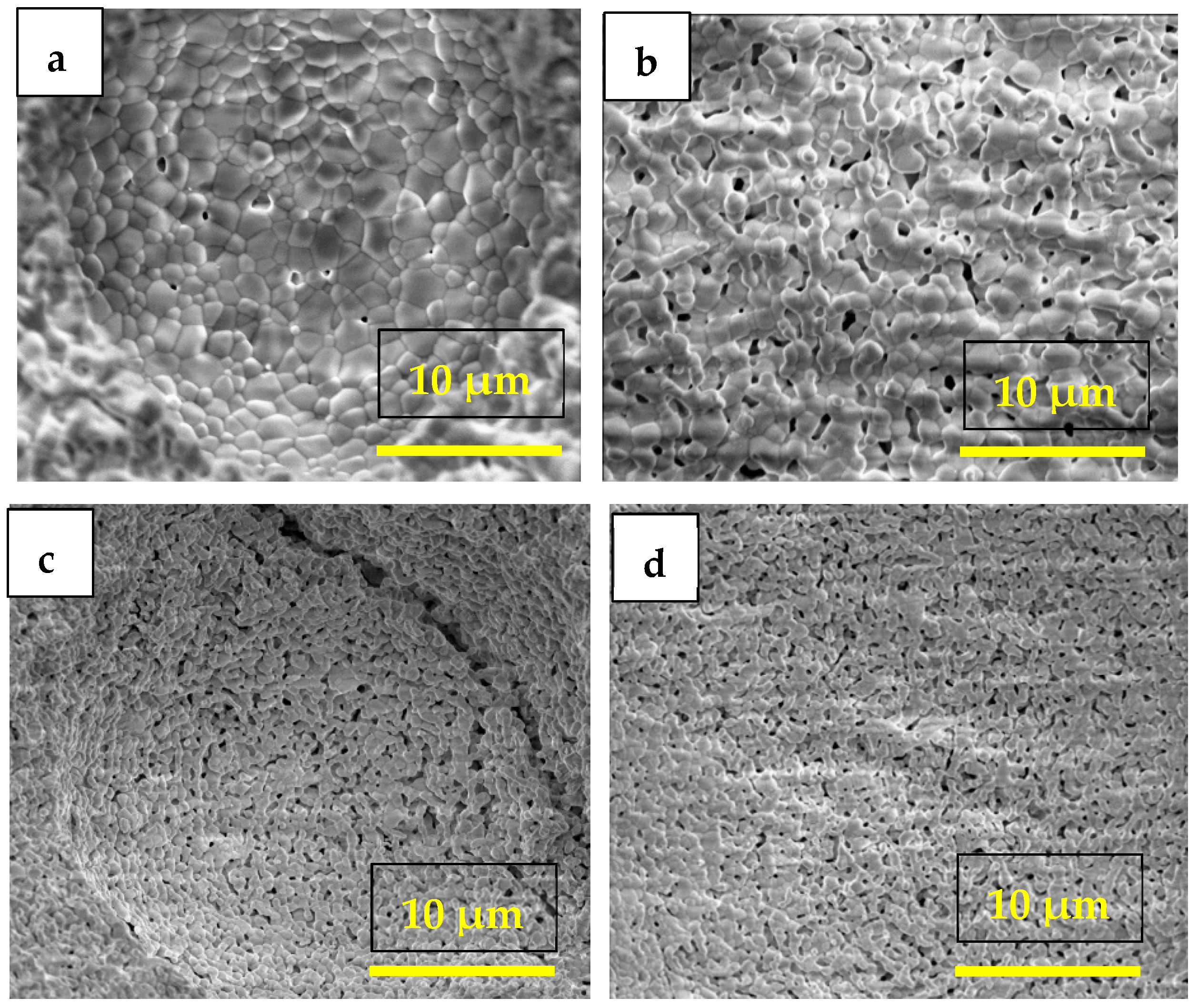 Membranes 15 00315 g002
