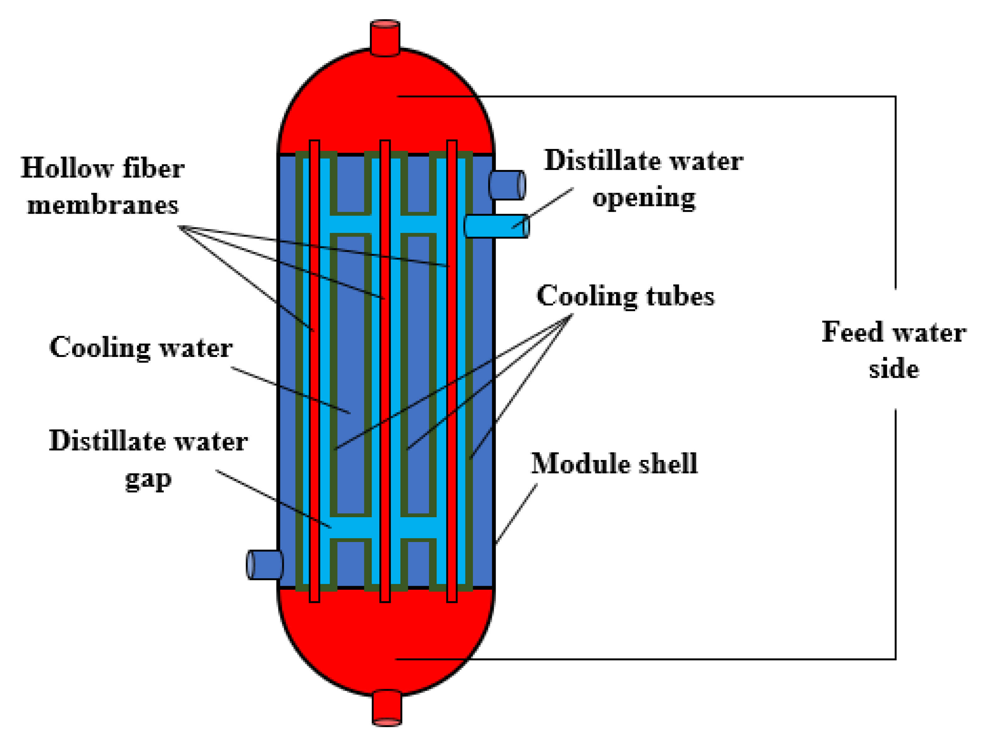 Membranes 15 00318 g001