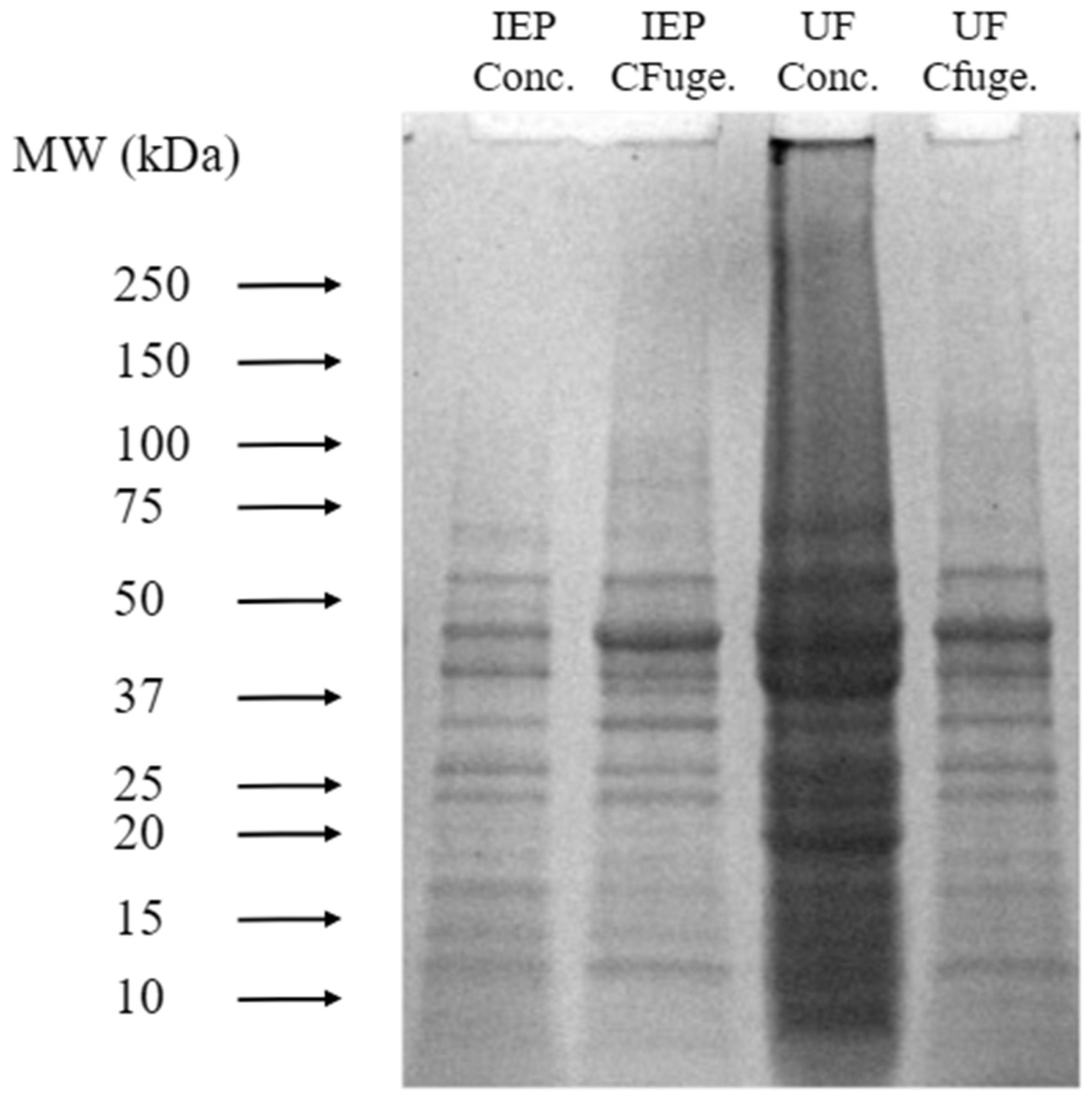 Membranes 15 00326 g005
