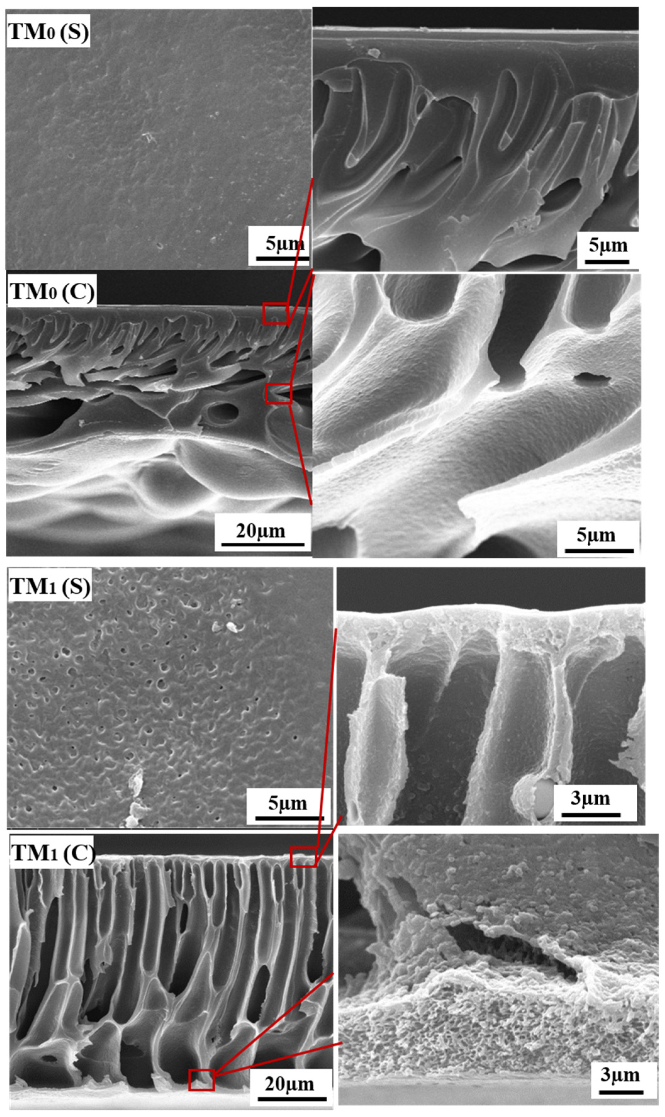 Membranes 15 00327 g005 Membranes 15 00327 g005