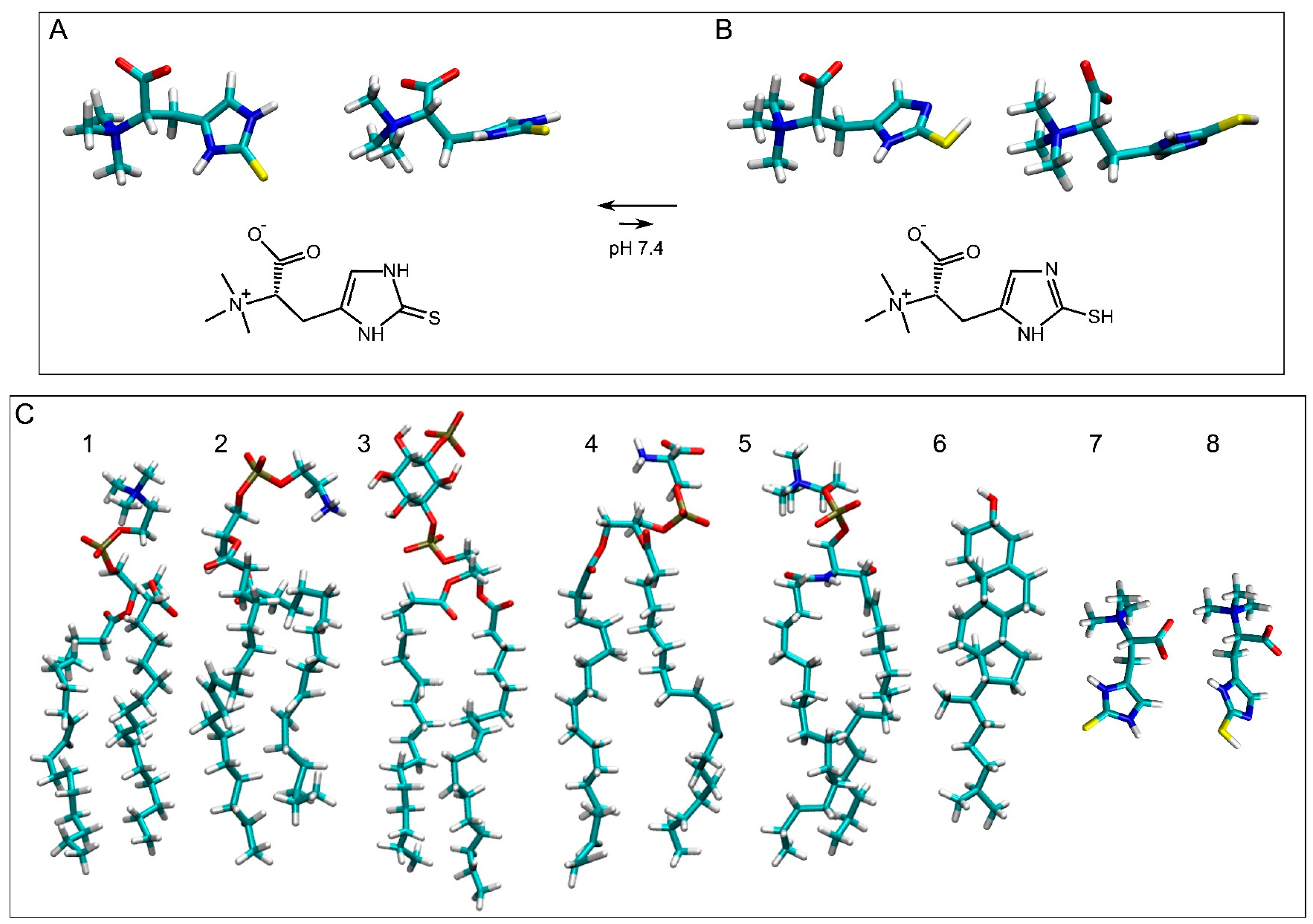 Membranes 15 00328 g001 Membranes 15 00328 g001