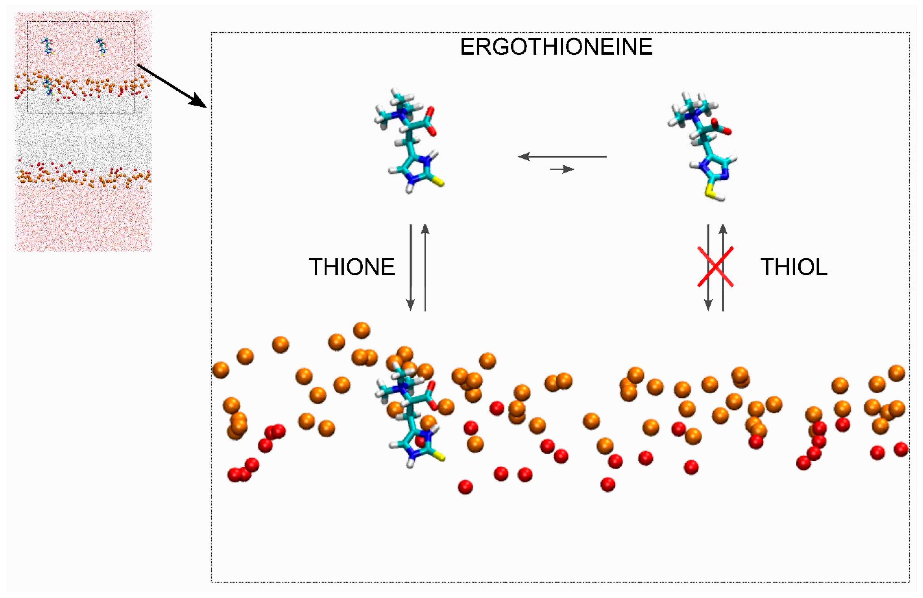 Membranes 15 00328 g006 Membranes 15 00328 g006