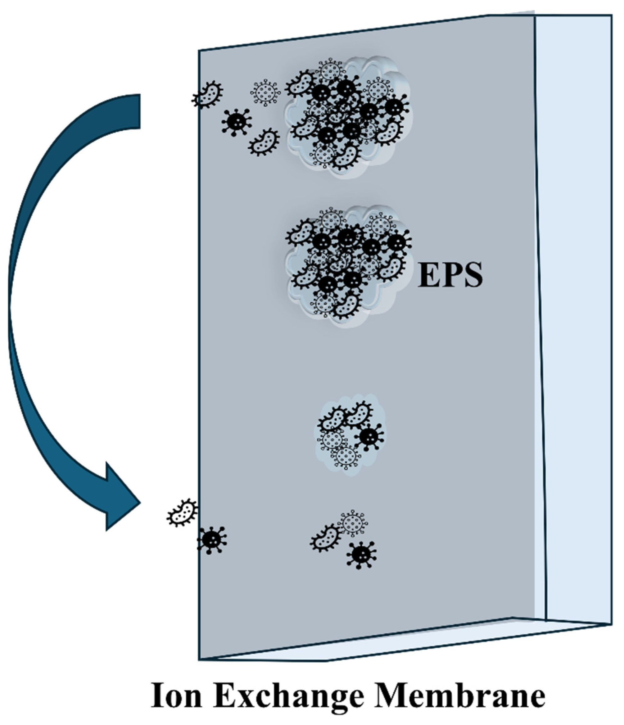 Membranes 15 00332 g002 Membranes 15 00332 g002