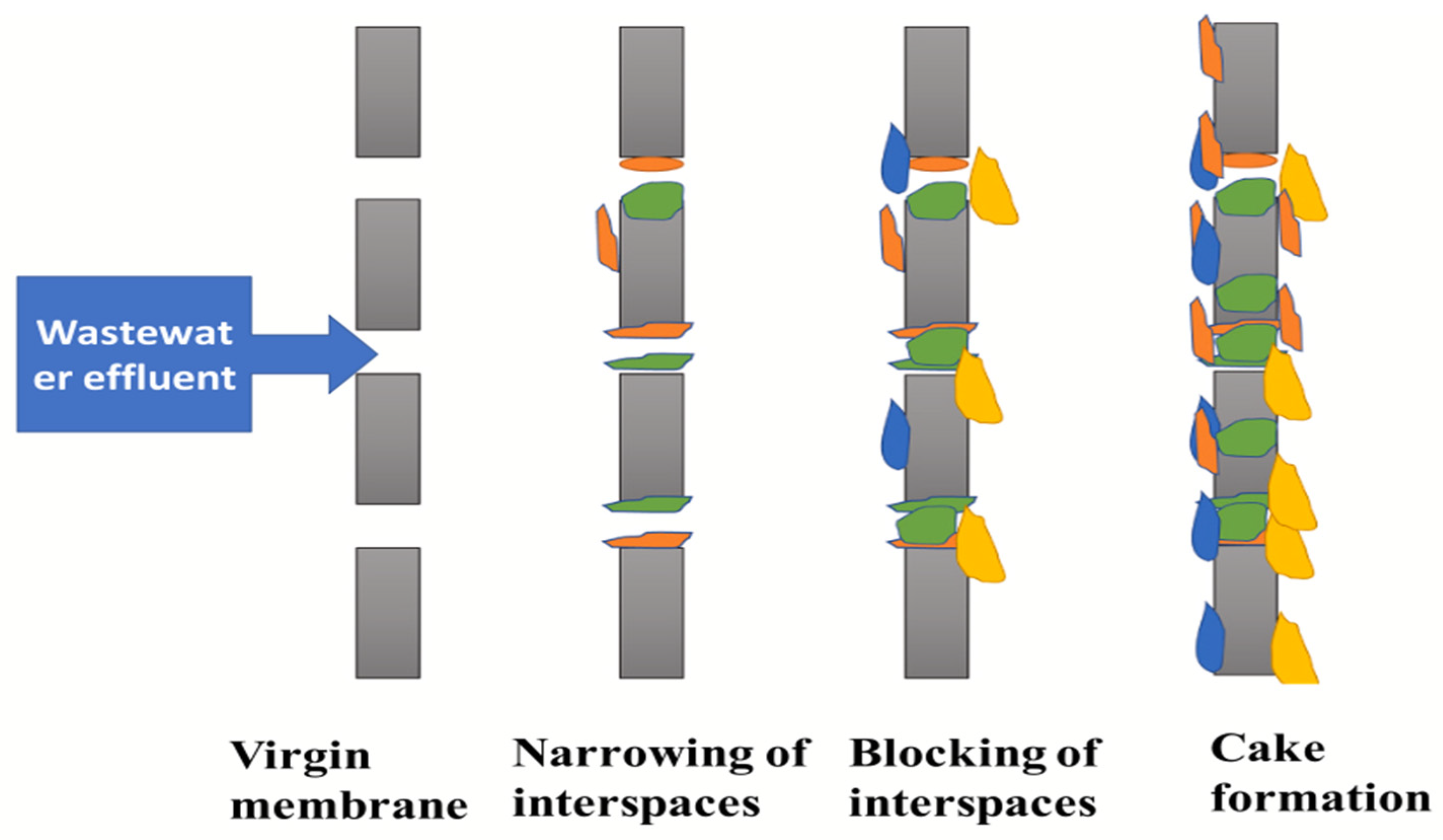 Membranes 15 00332 g003 Membranes 15 00332 g003