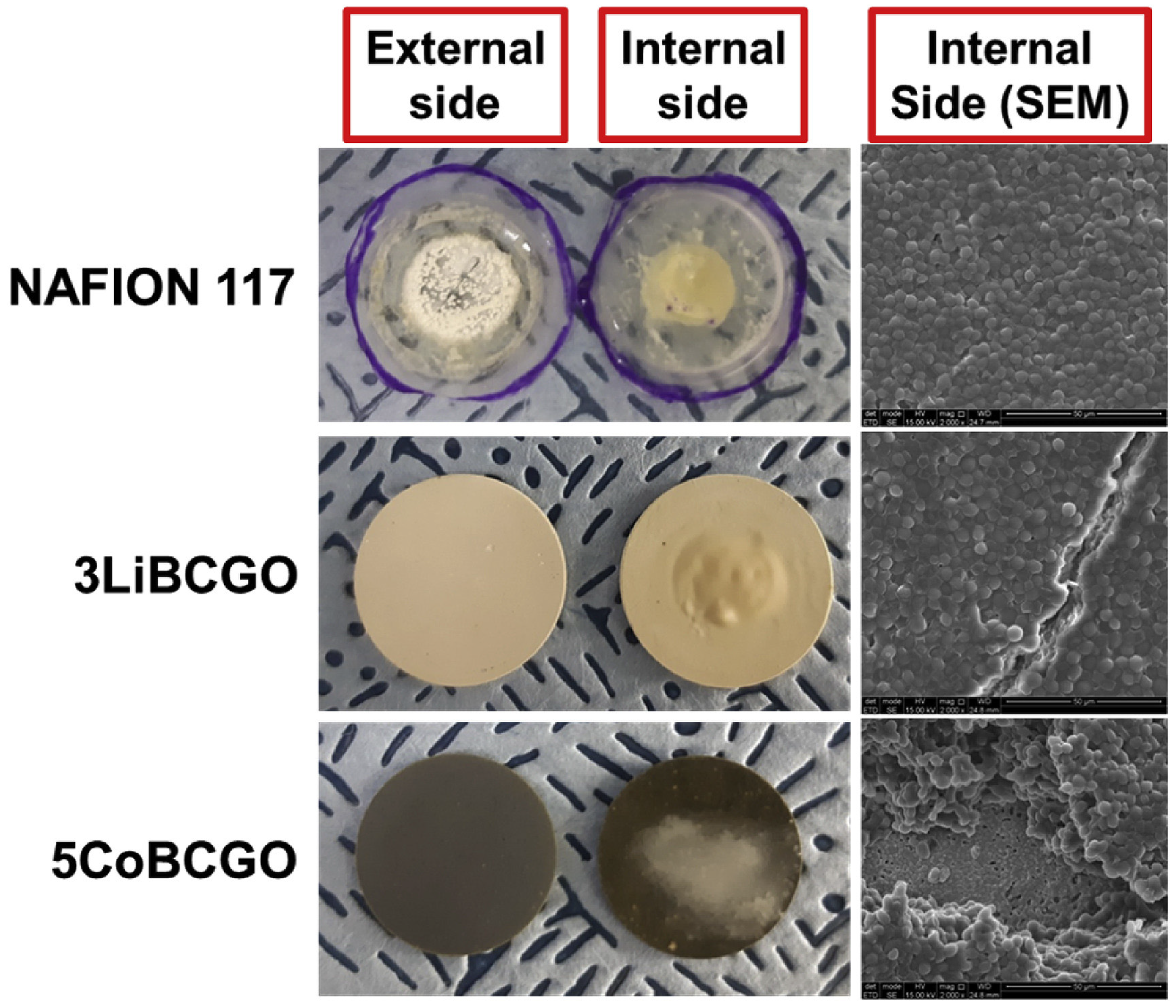 Membranes 15 00332 g007 Membranes 15 00332 g007