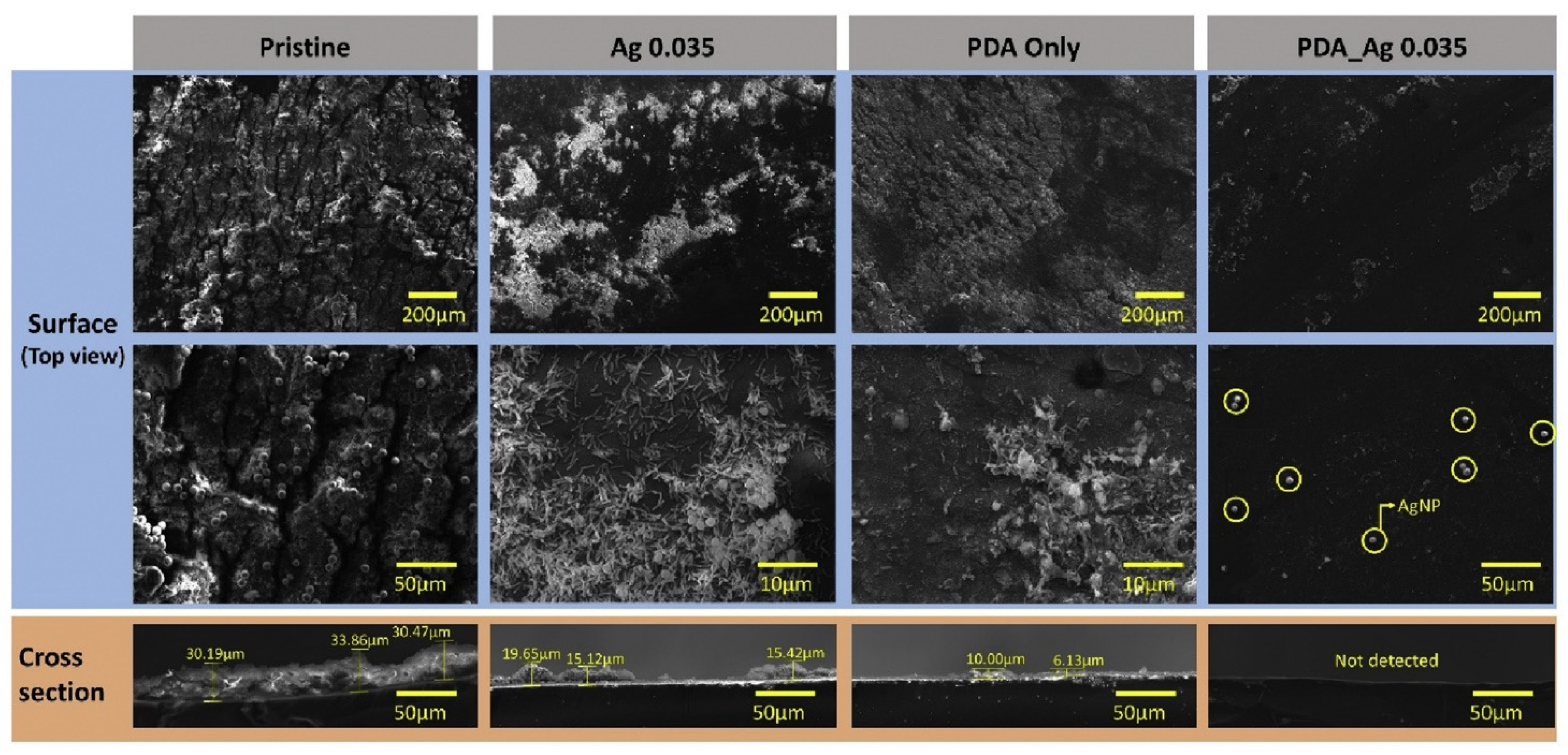 Membranes 15 00332 g008 Membranes 15 00332 g008