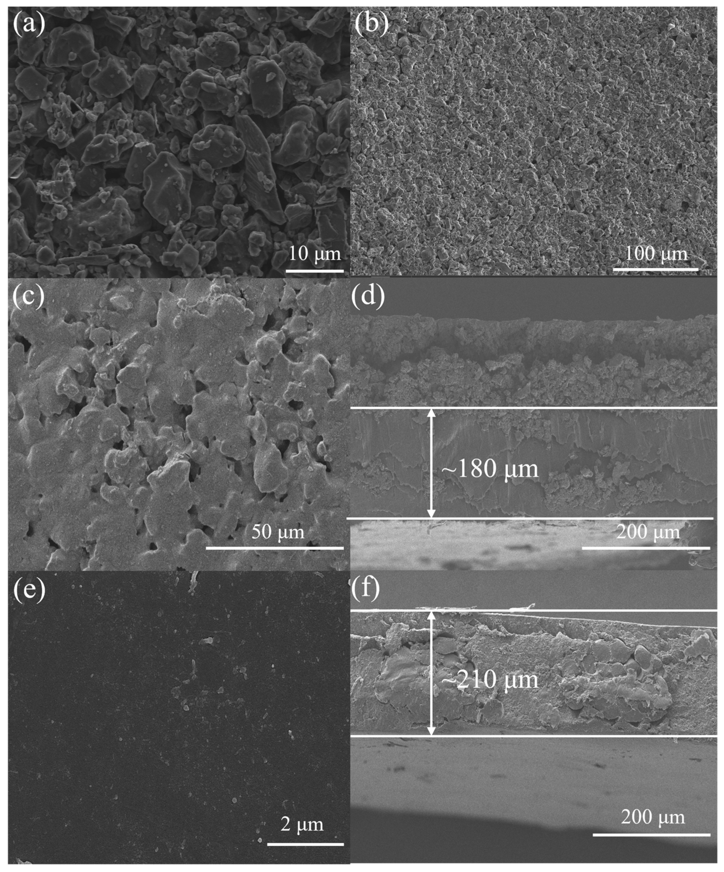 Membranes 15 00338 g002
