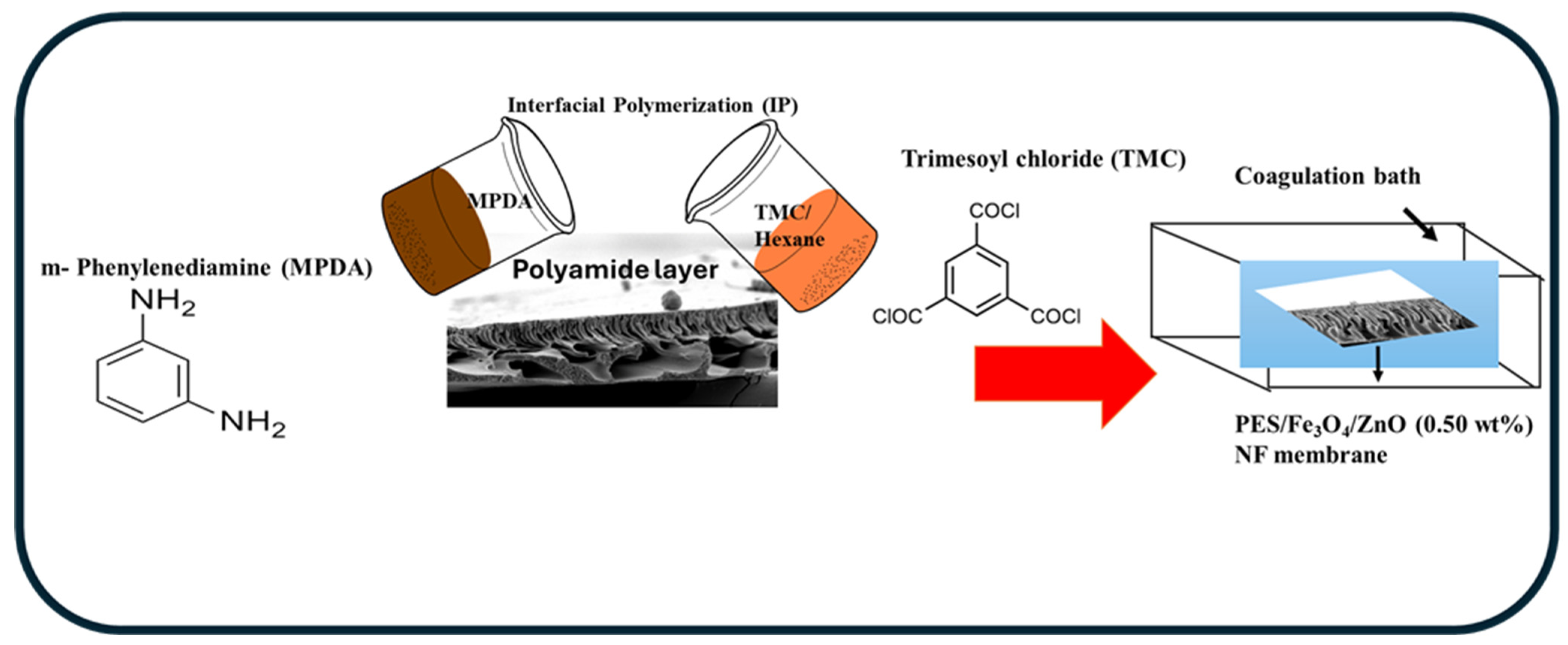 Membranes 15 00341 sch001