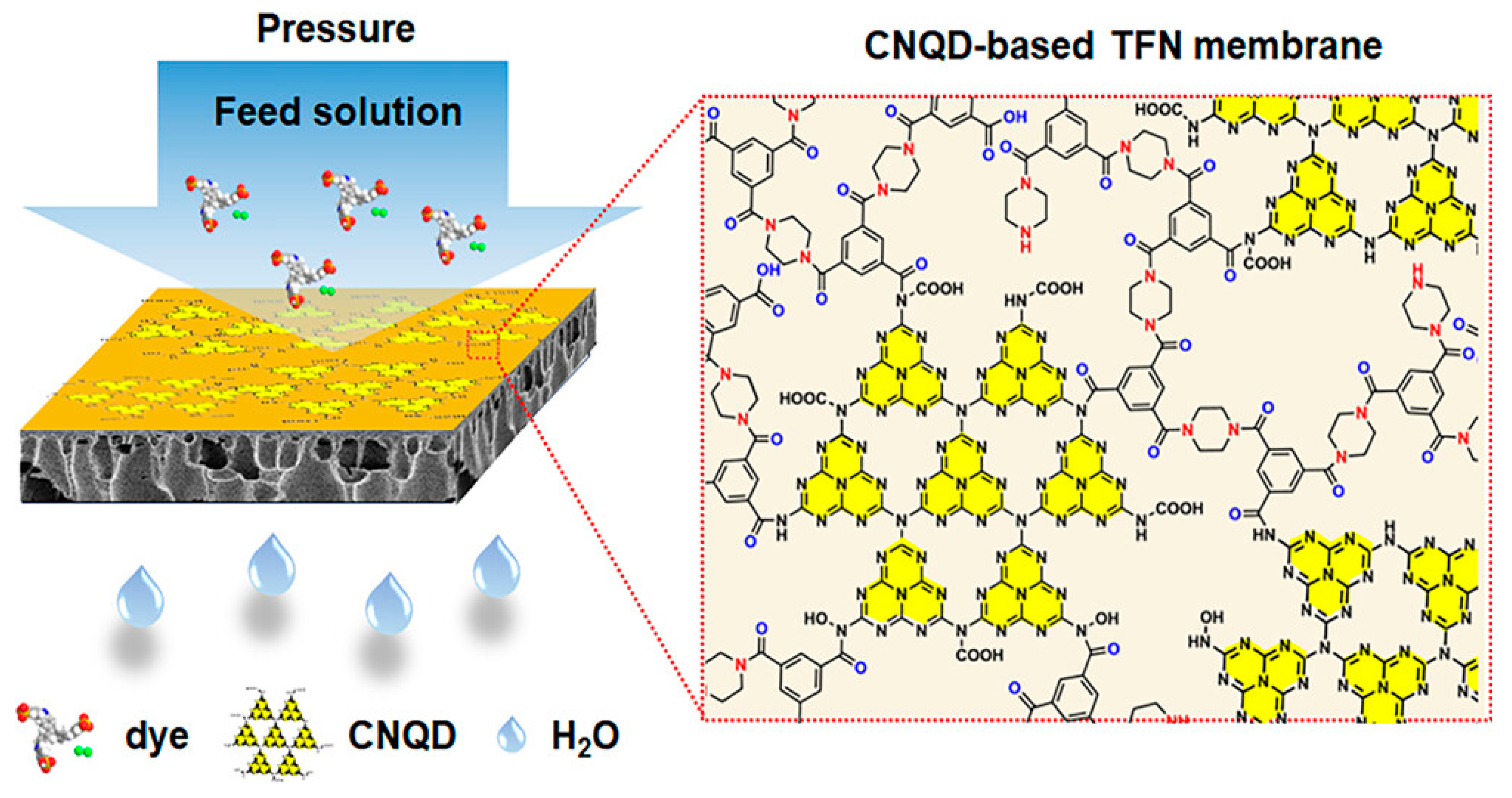 Membranes 15 00342 g002