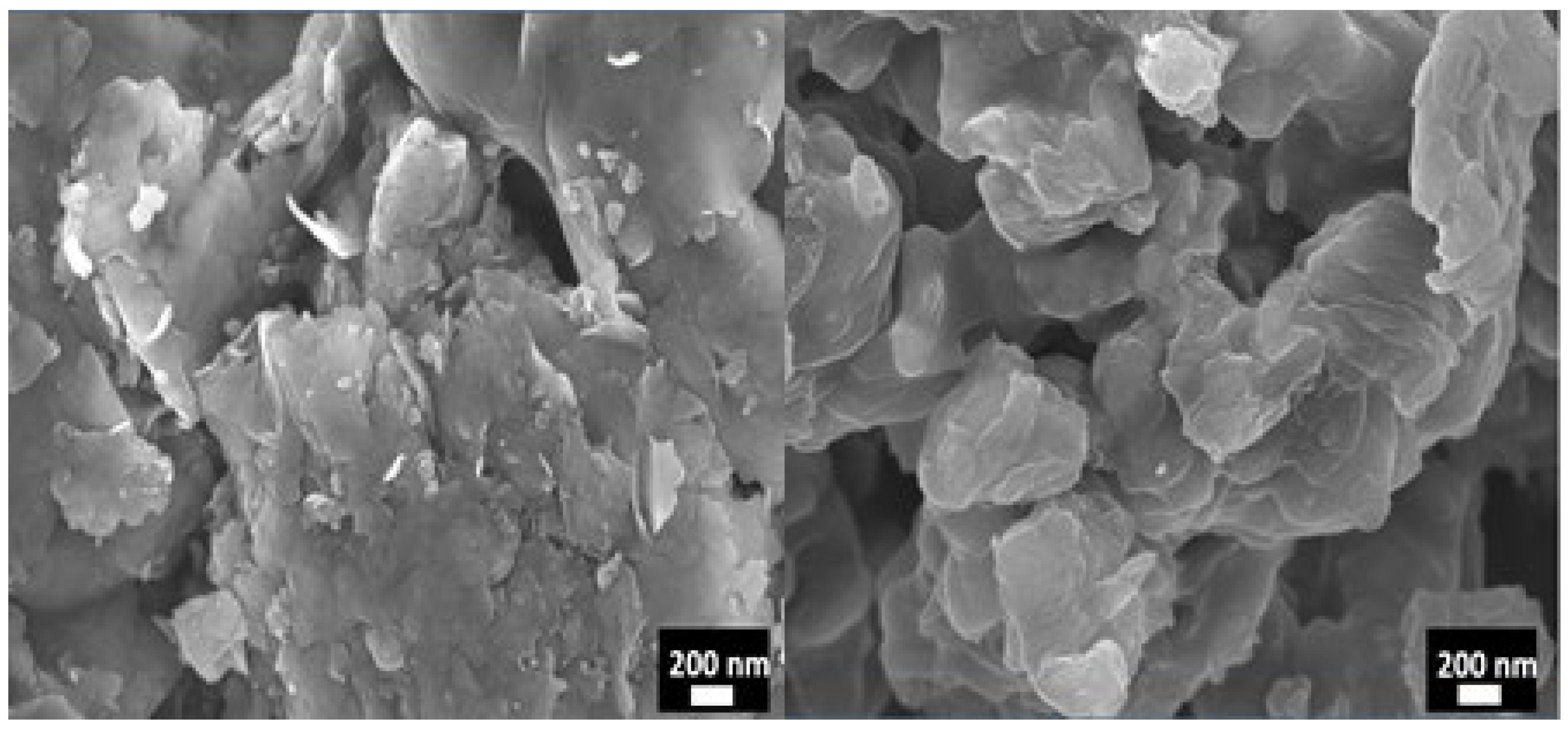 Membranes 15 00344 g005 Membranes 15 00344 g005