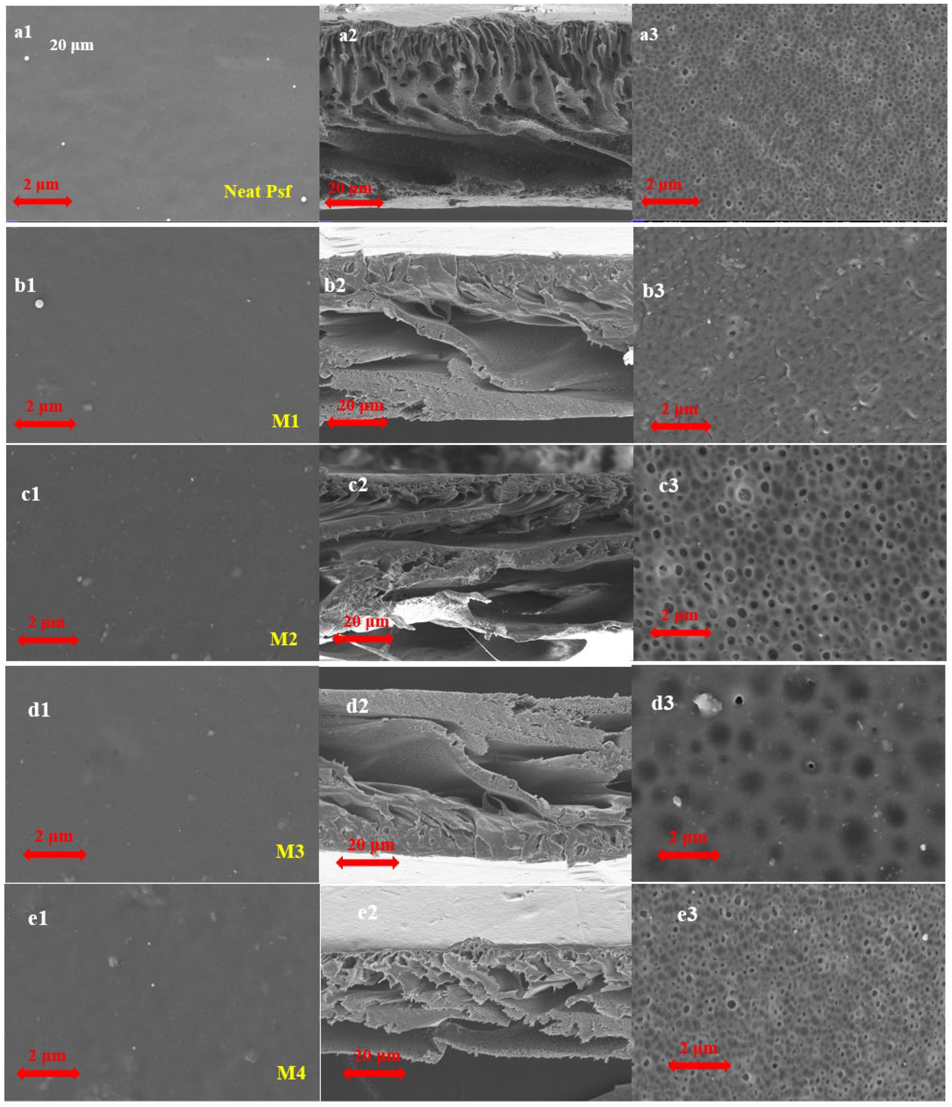 Membranes 15 00344 g008a Membranes 15 00344 g008a