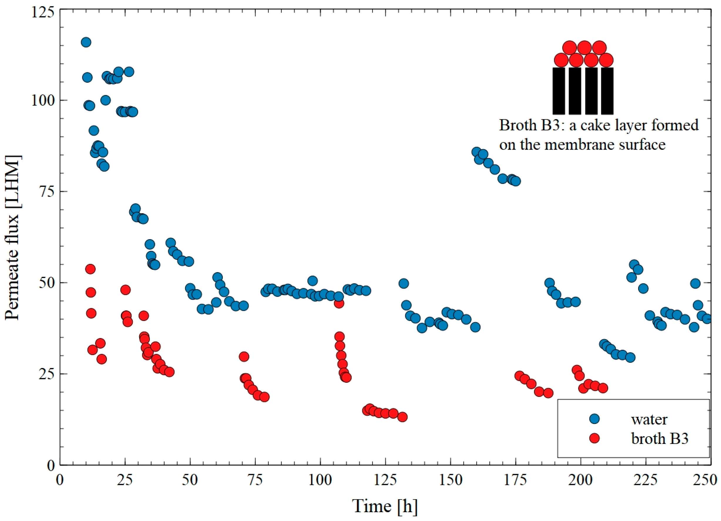 Membranes 15 00345 g008