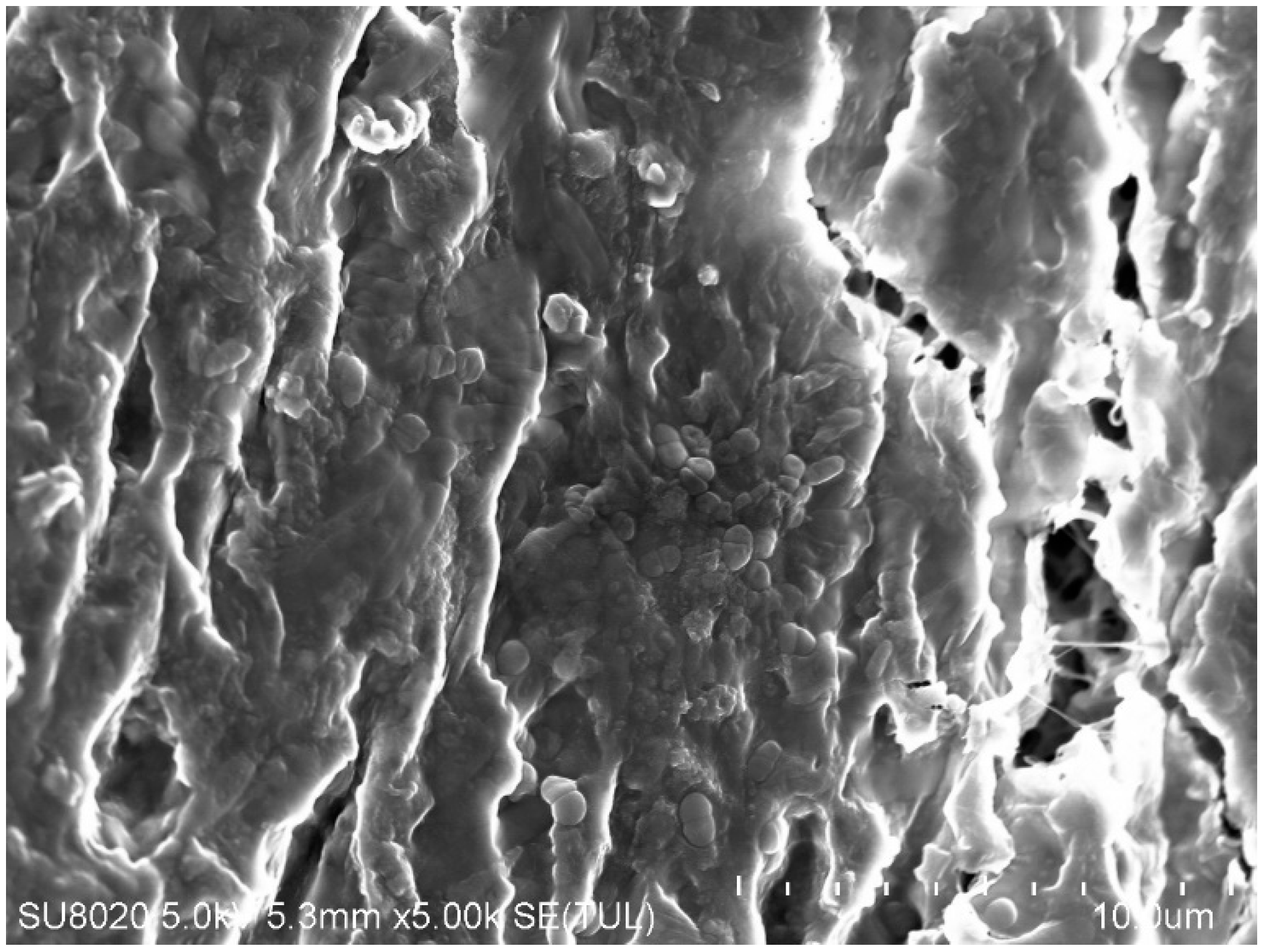 Membranes 15 00345 g009