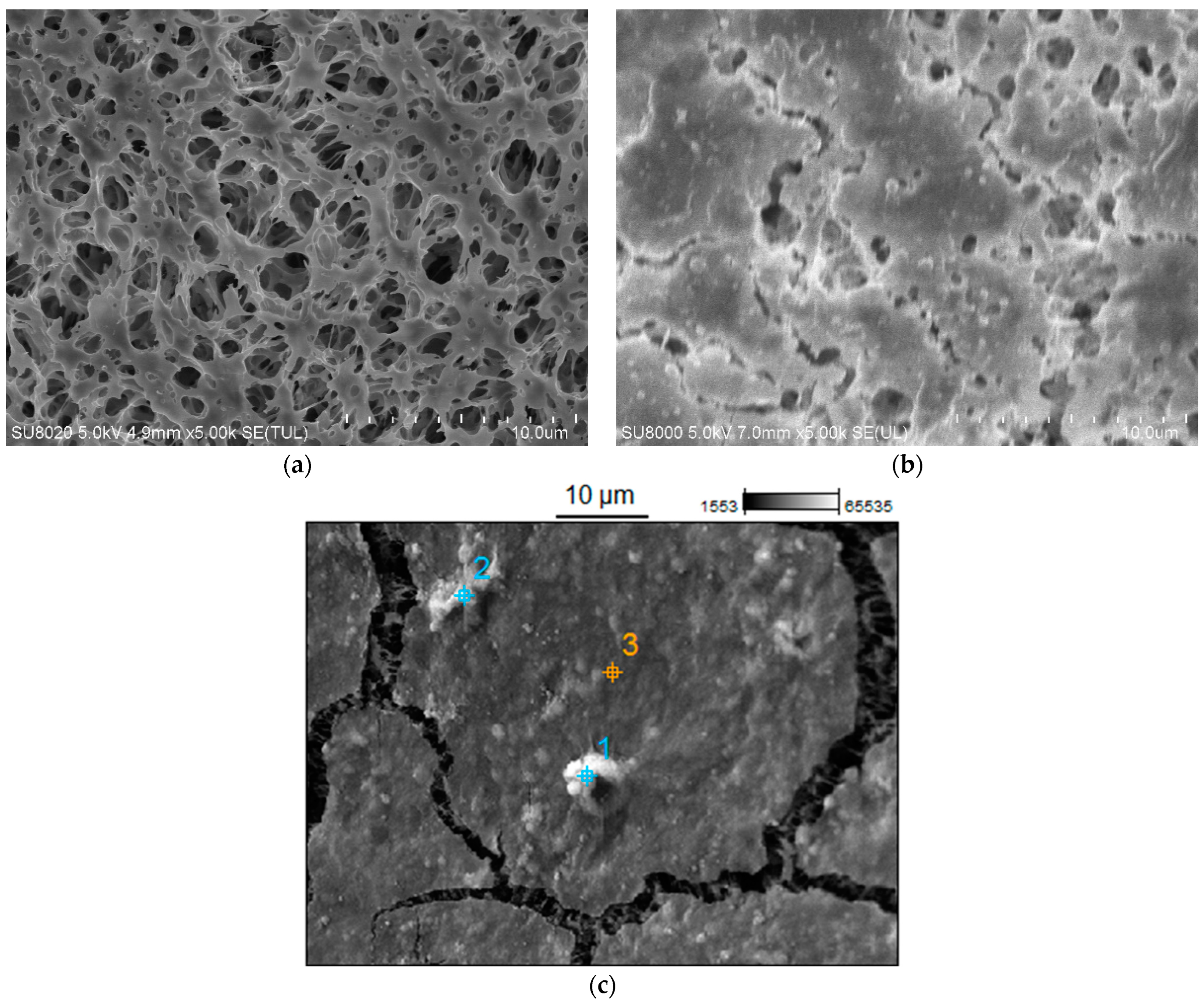 Membranes 15 00345 g011