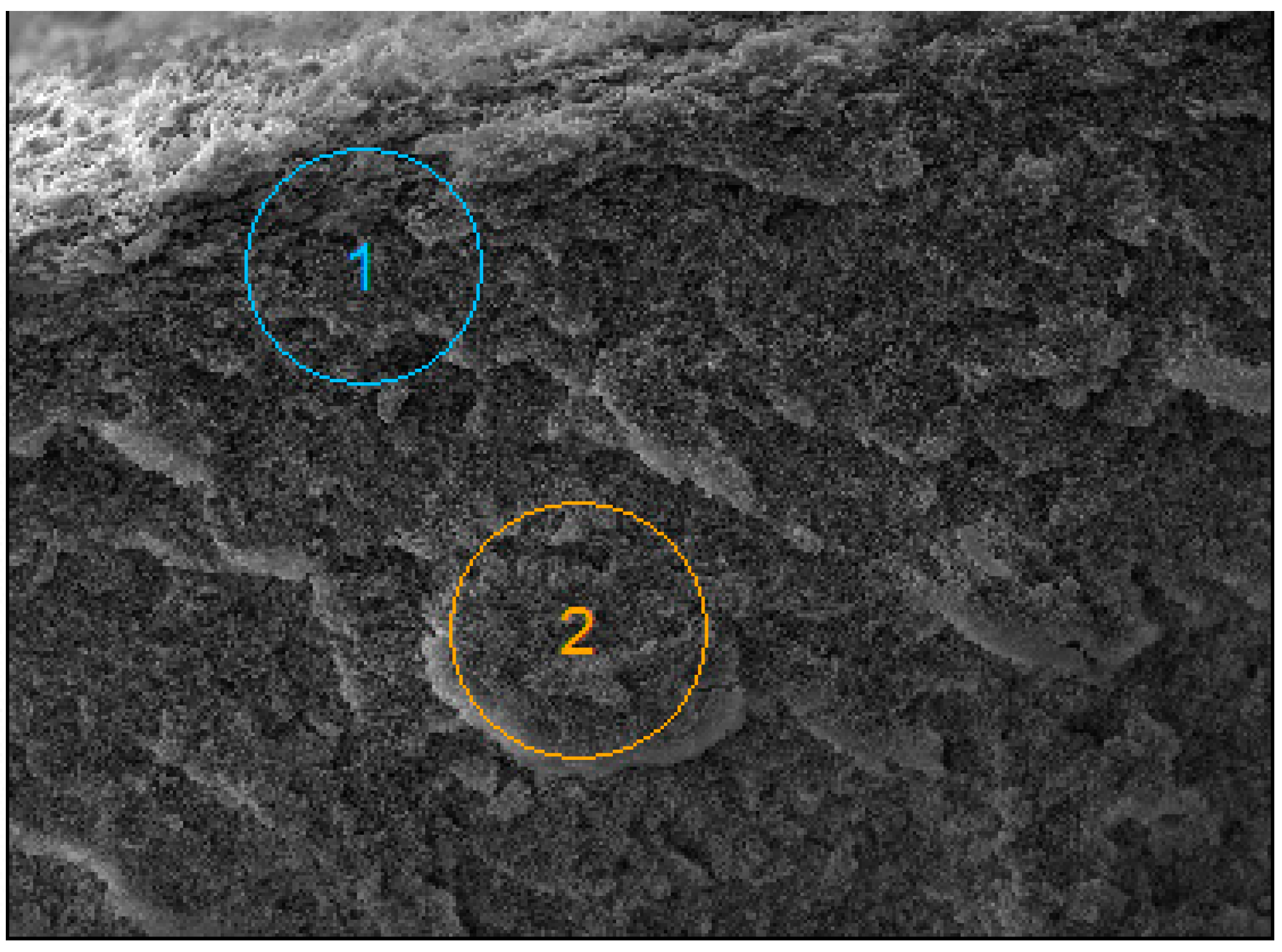 Membranes 15 00345 g013