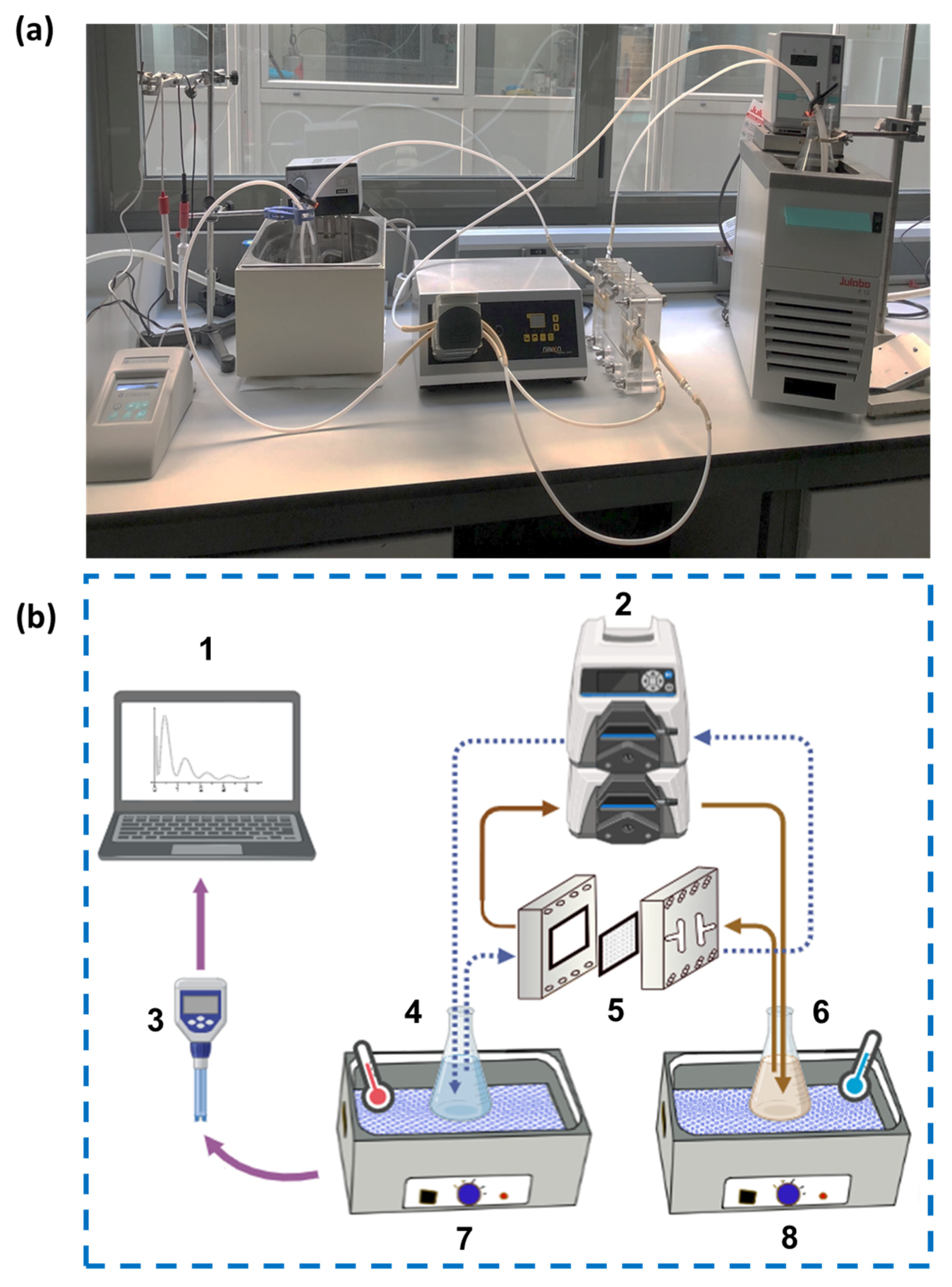 Membranes 15 00348 g001 Membranes 15 00348 g001