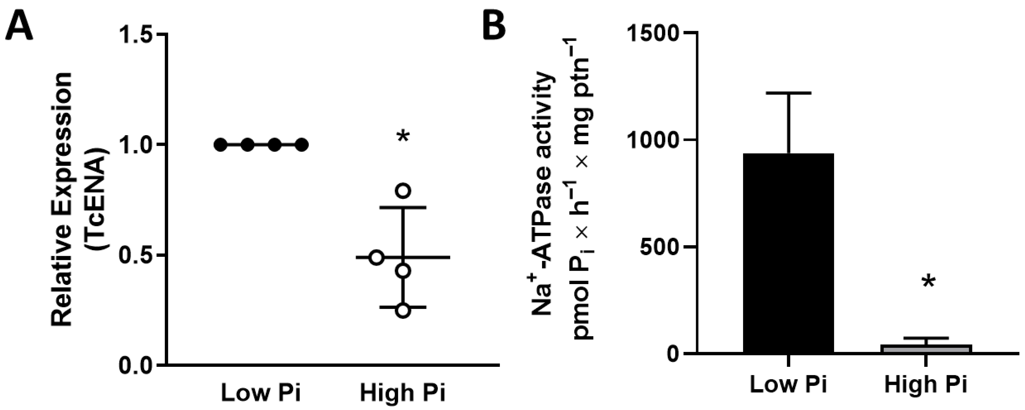 Membranes 15 00349 g003