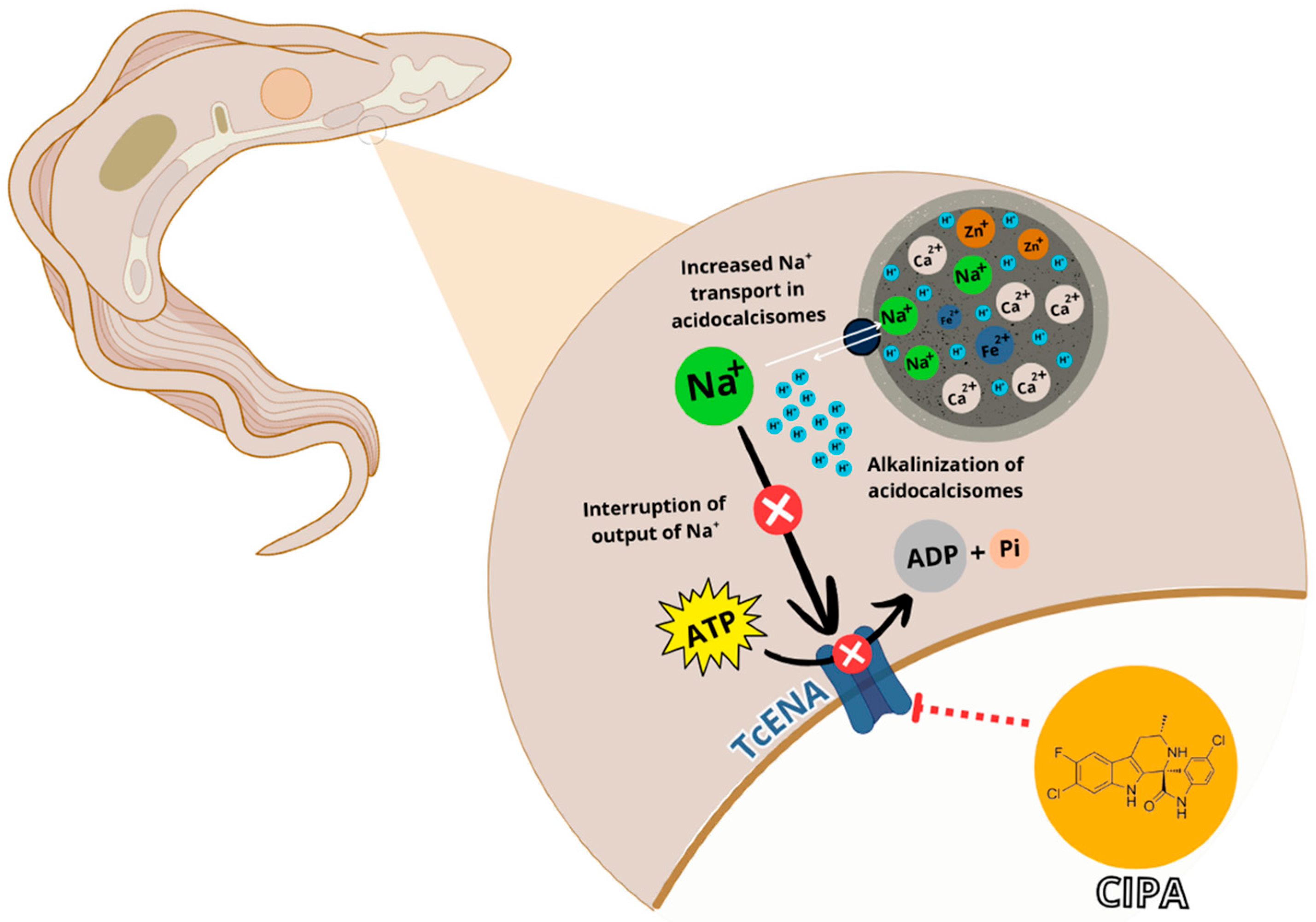 Membranes 15 00349 g007