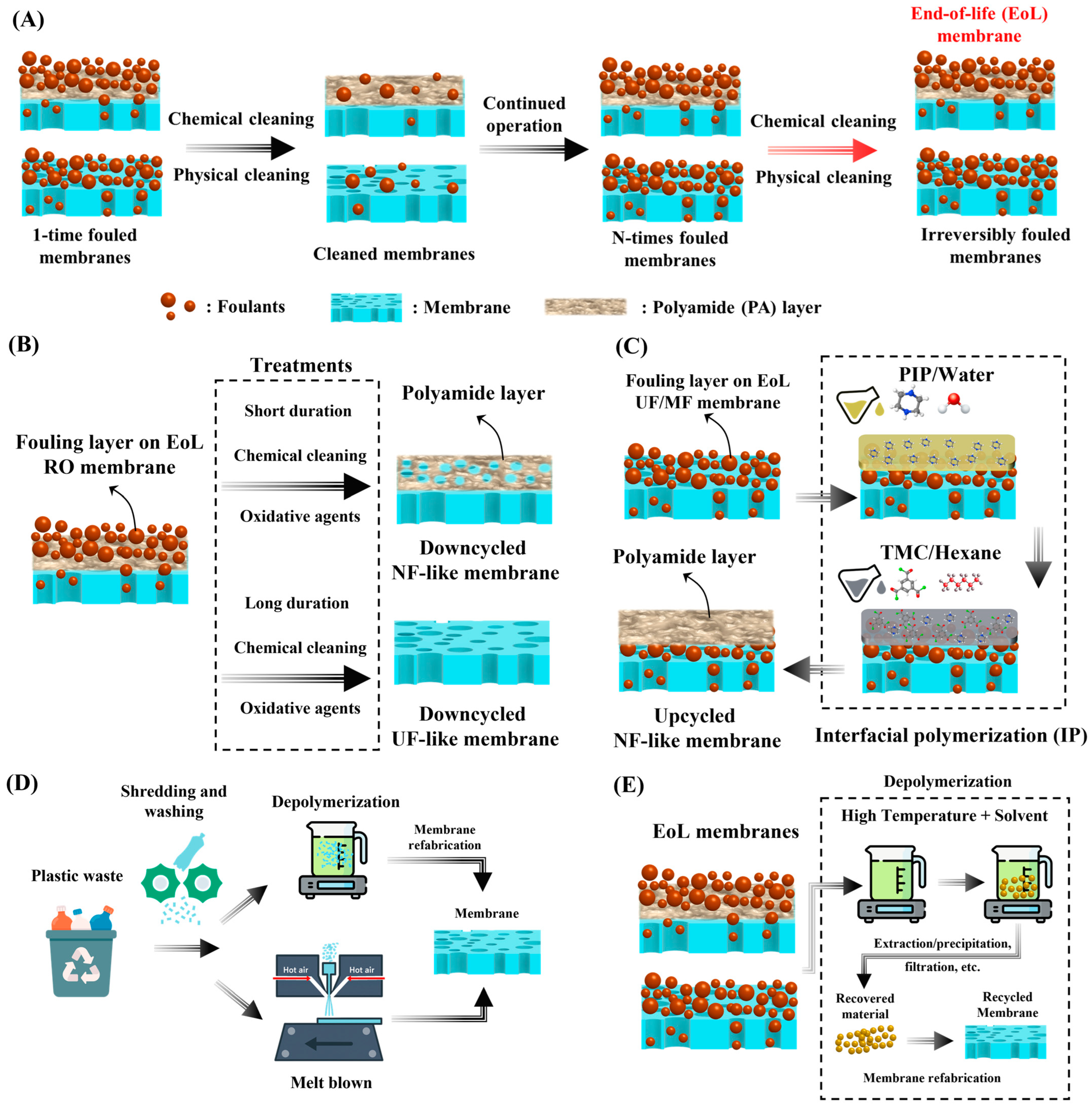 Membranes 15 00350 g001 Membranes 15 00350 g001