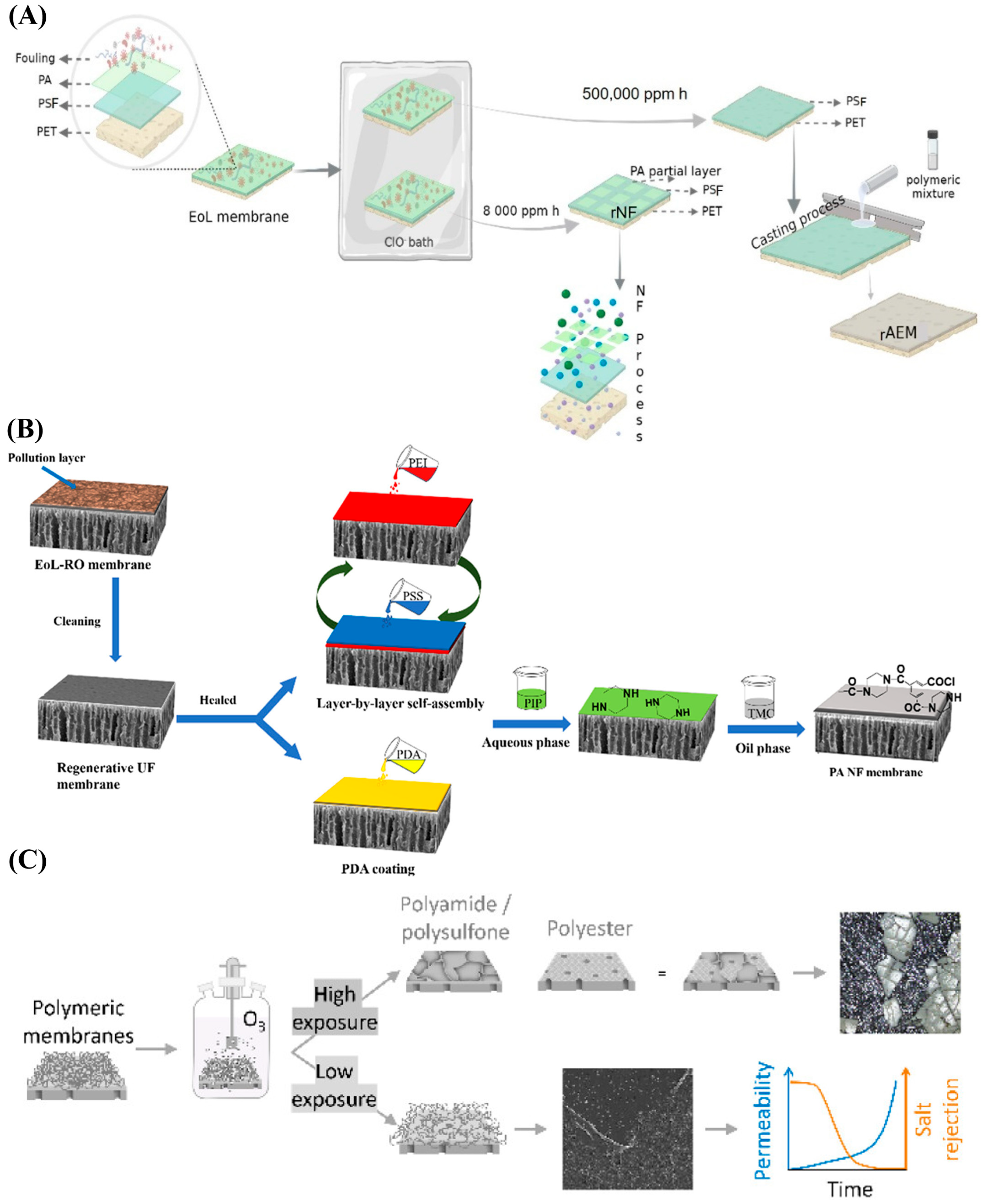Membranes 15 00350 g002 Membranes 15 00350 g002