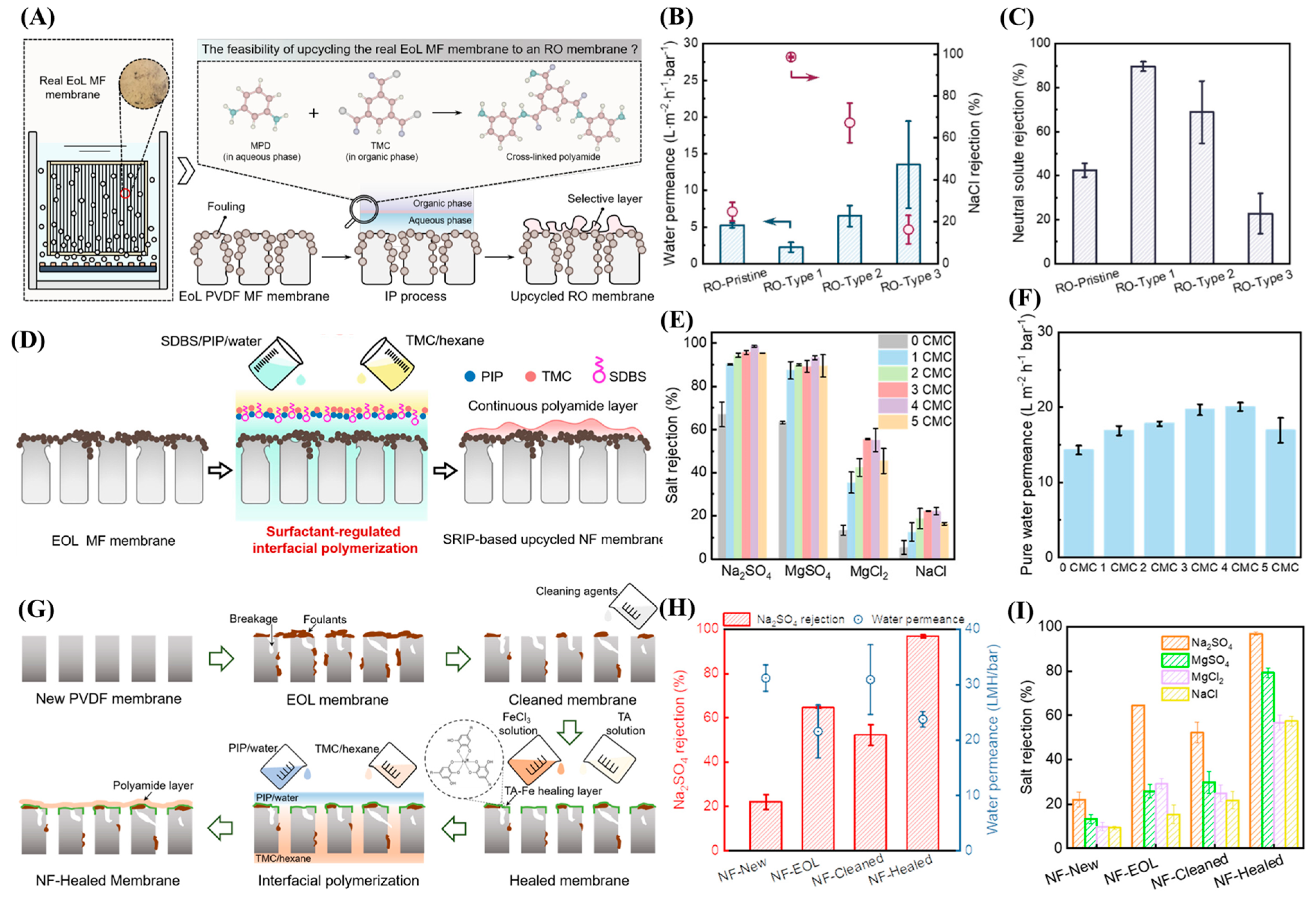 Membranes 15 00350 g003 Membranes 15 00350 g003