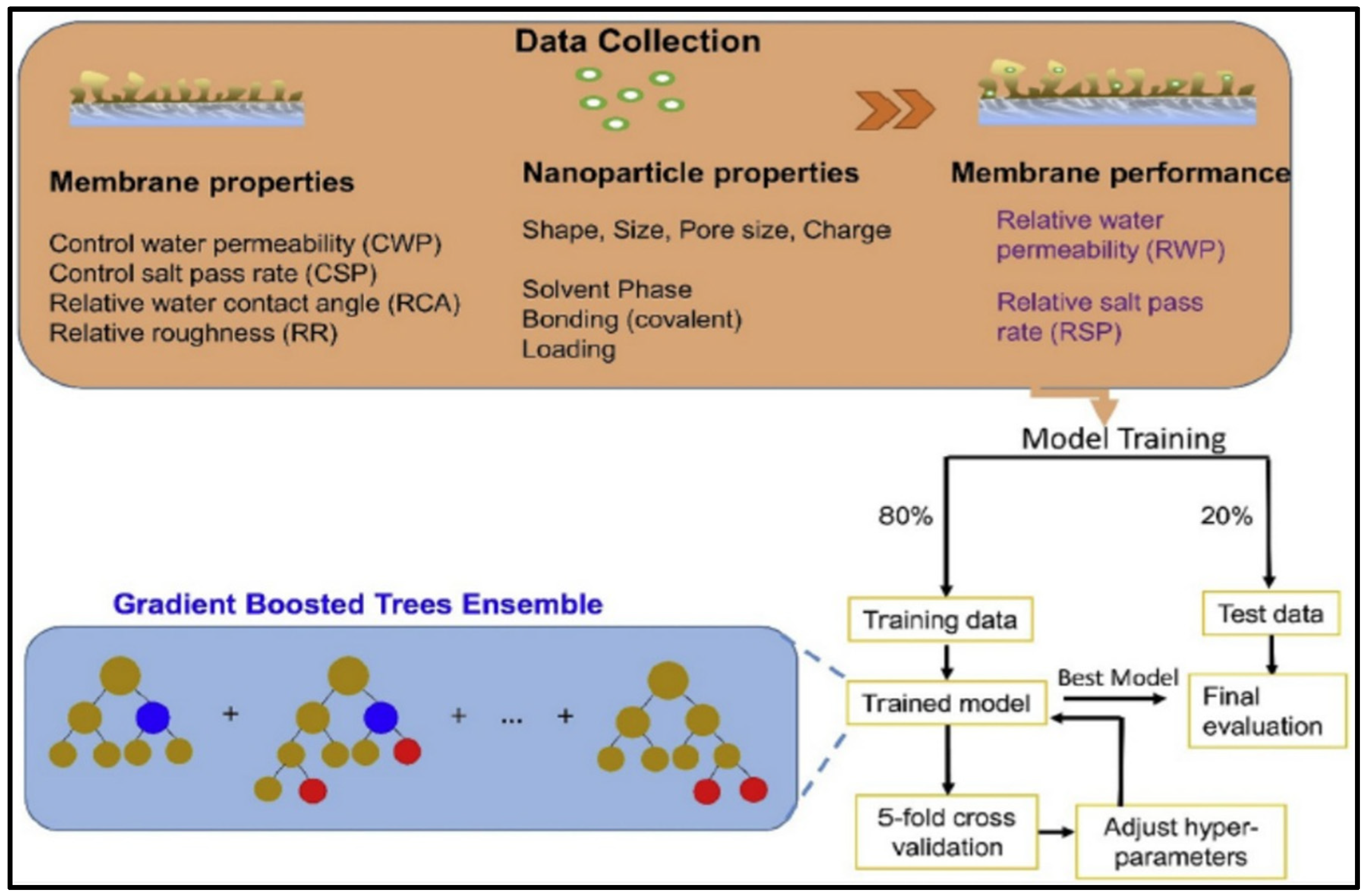 Membranes 15 00353 g006