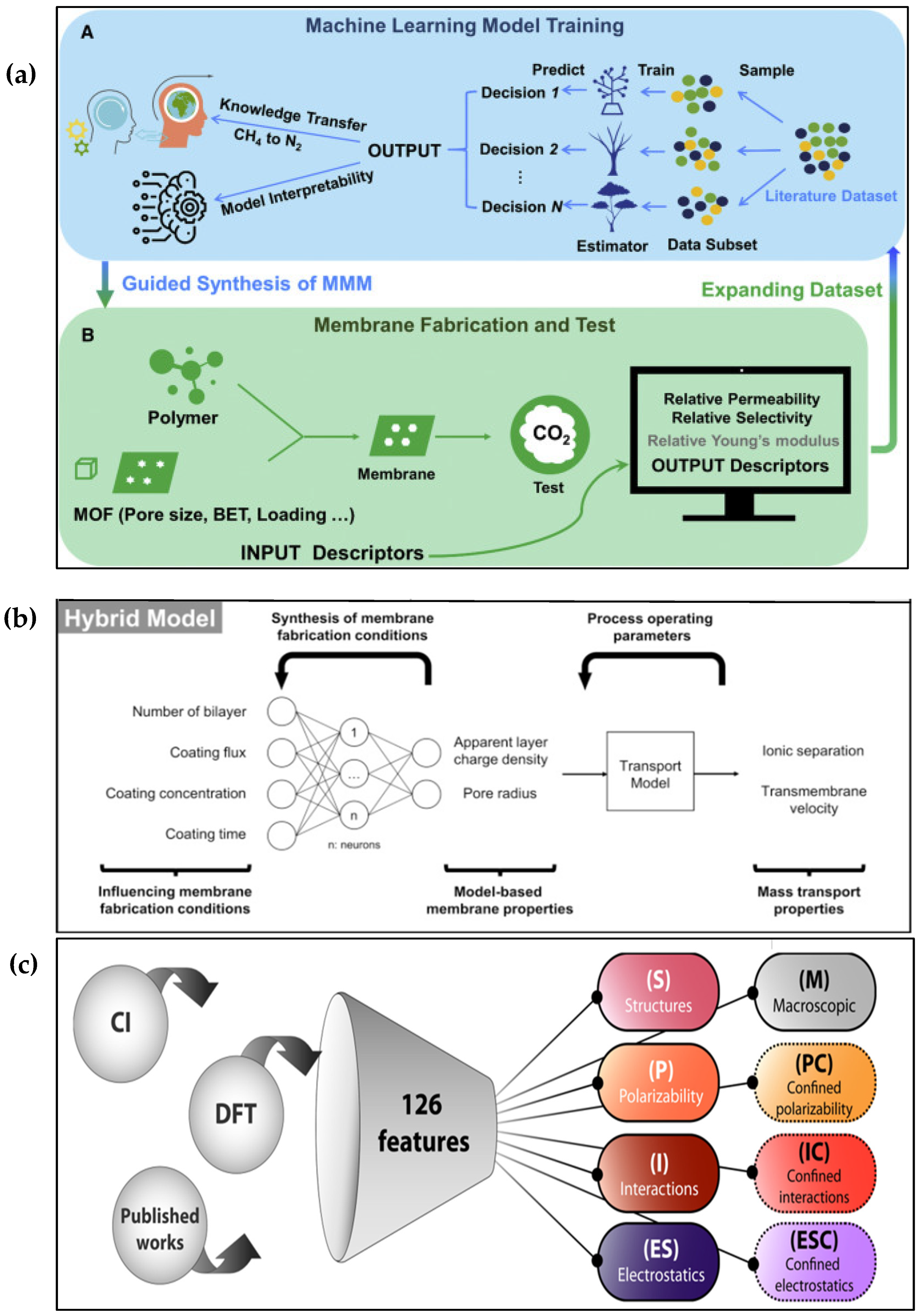 Membranes 15 00353 g011
