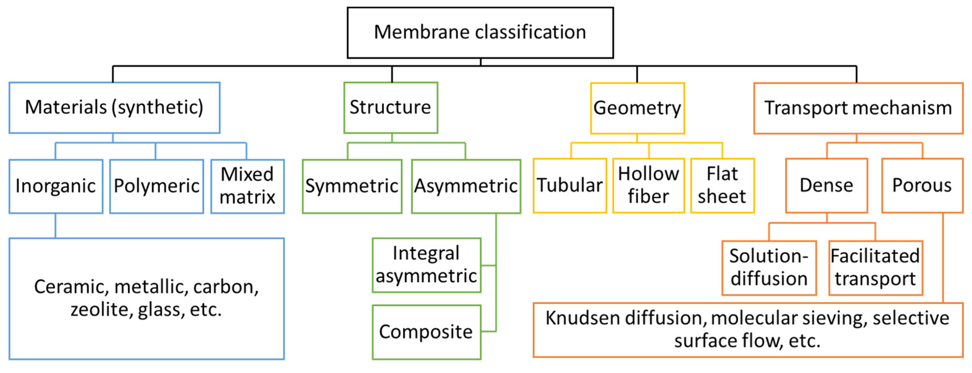 Membranes 15 00354 g002