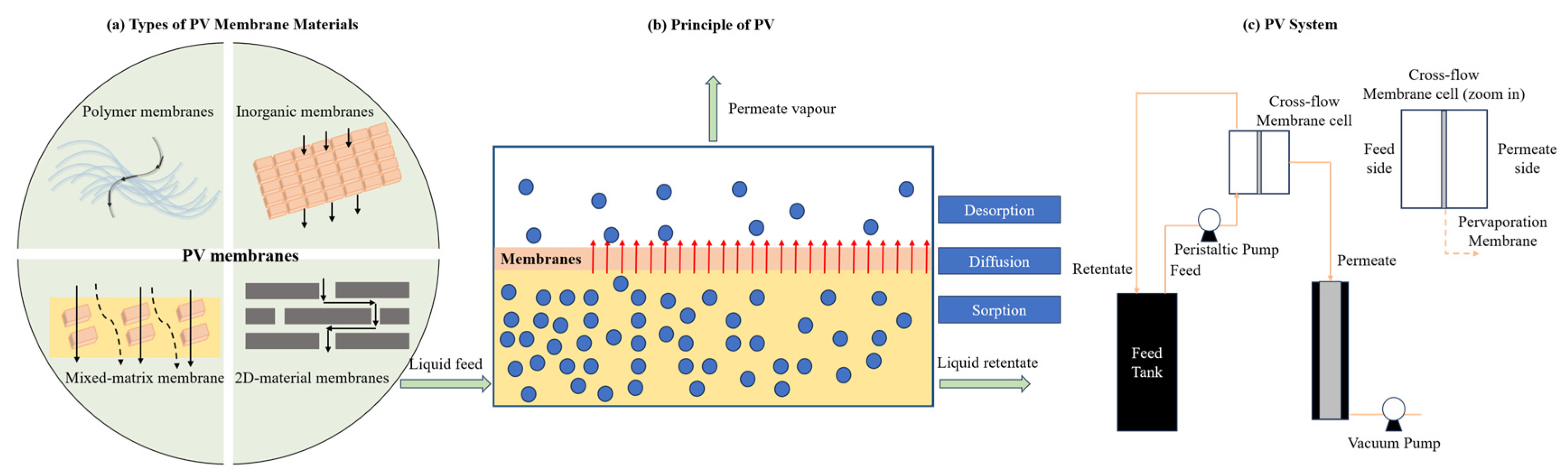Membranes 15 00354 g005