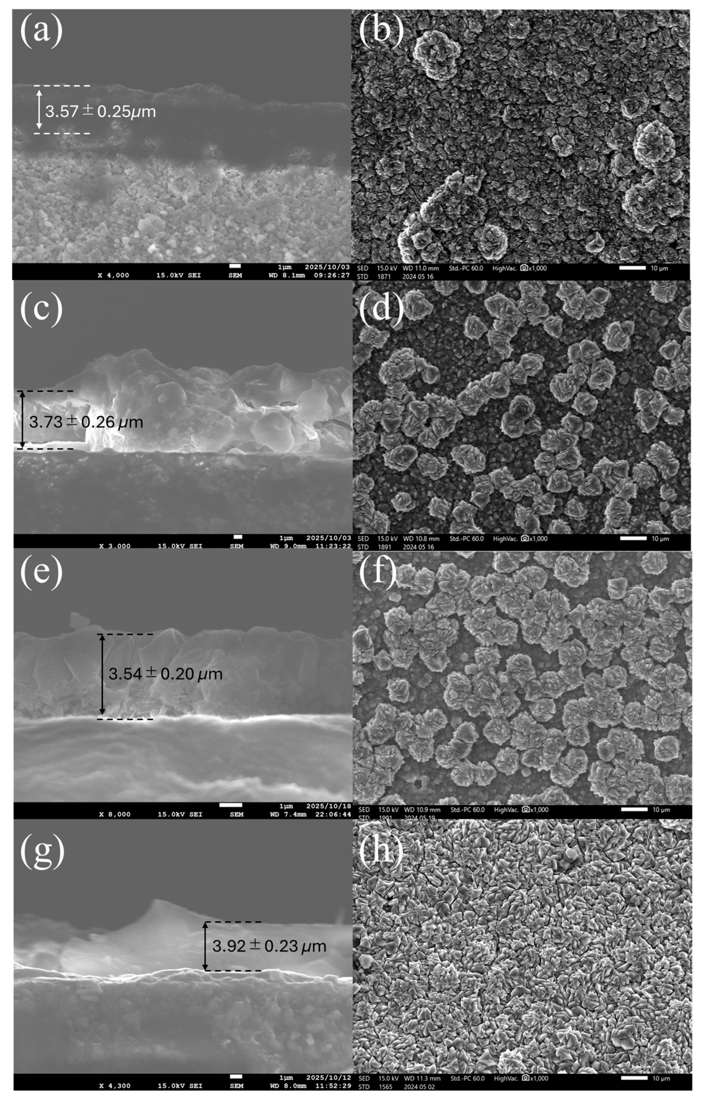 Membranes 15 00355 g007