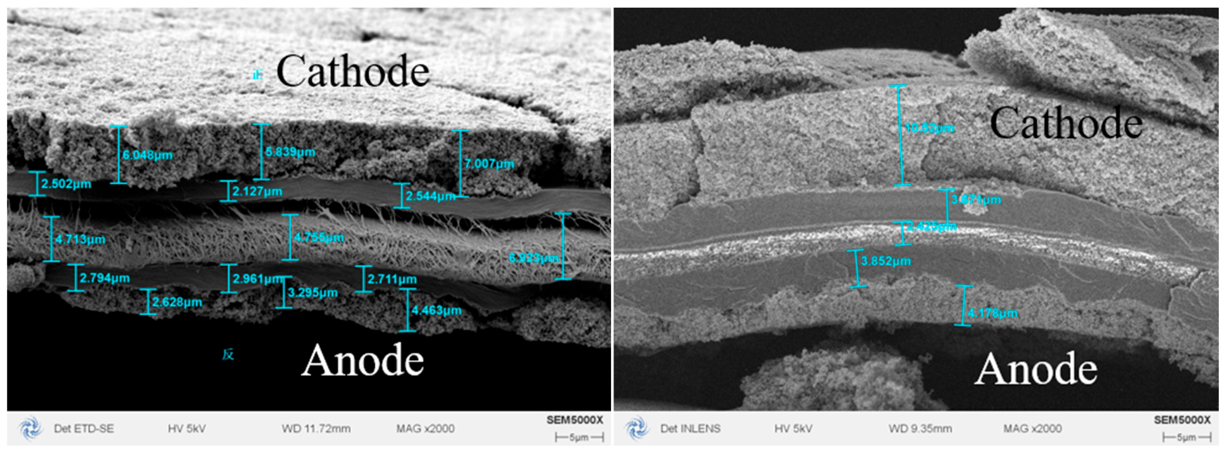 Membranes 15 00356 g008